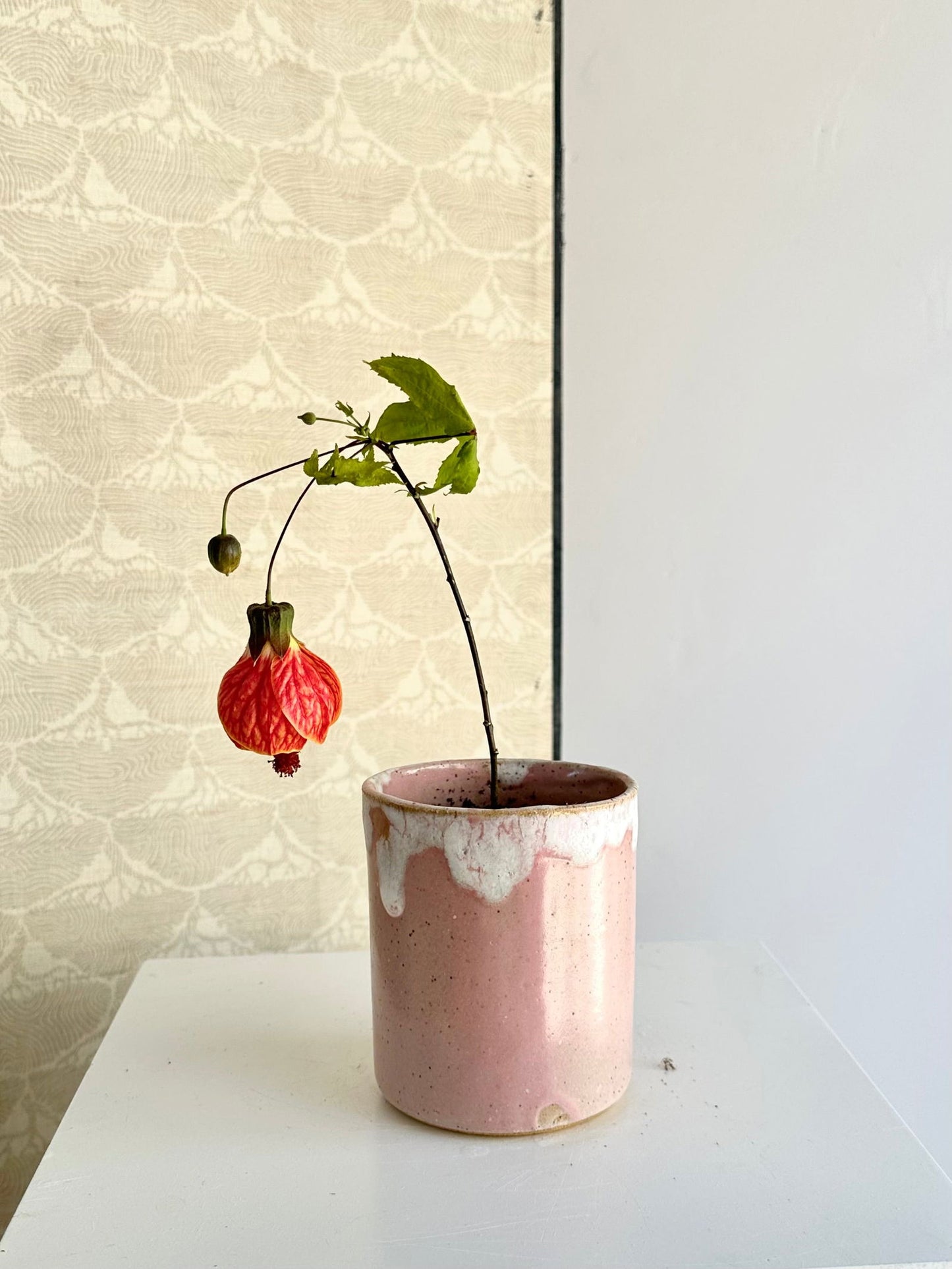 12 strawberry milk planter - Mipa's pots and plants