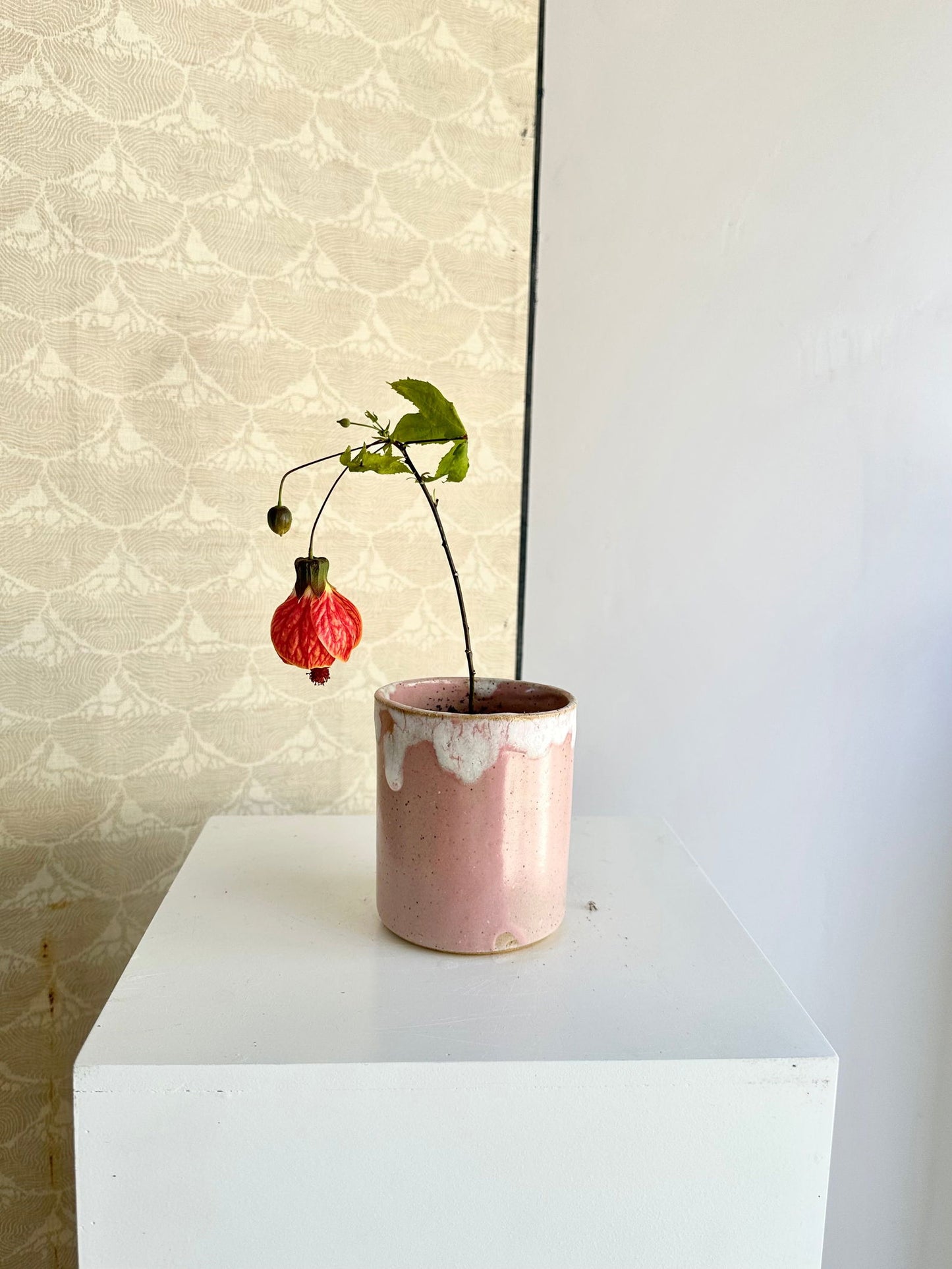 12 strawberry milk planter - Mipa's pots and plants