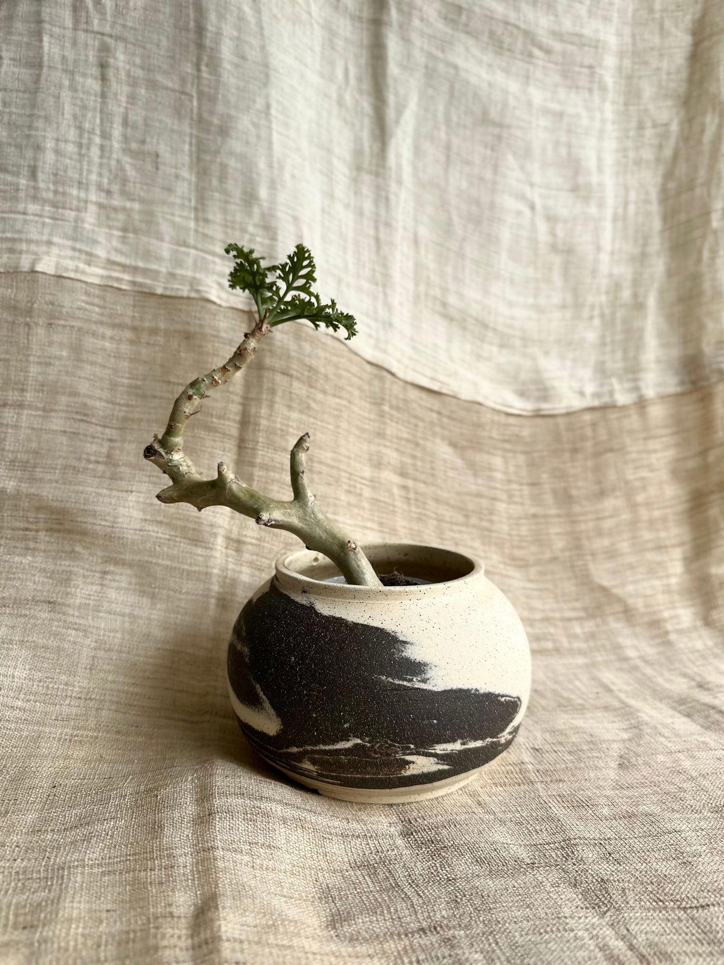 19 inkwash planter - Mipa's pots and plants