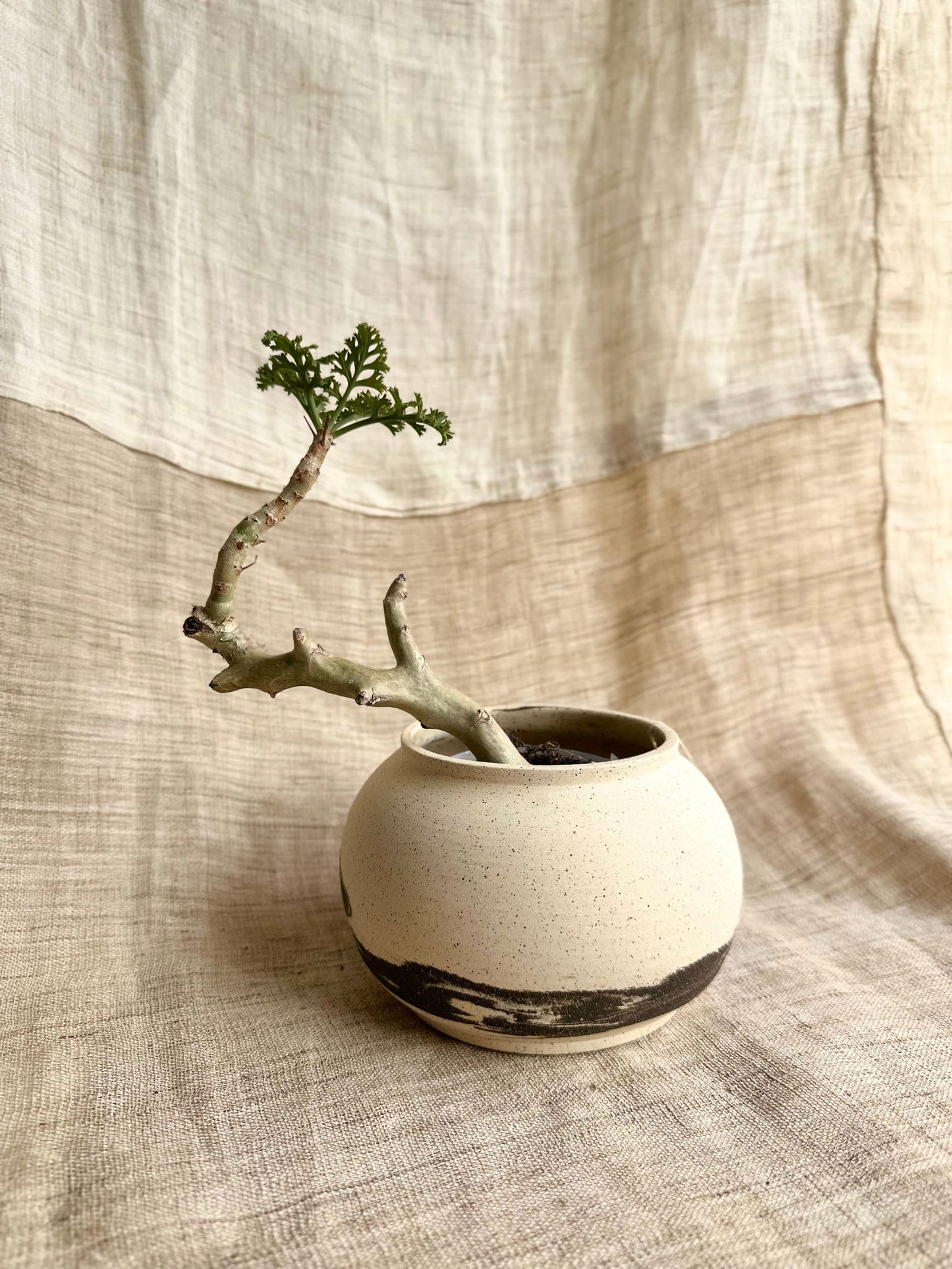 19 inkwash planter - Mipa's pots and plants