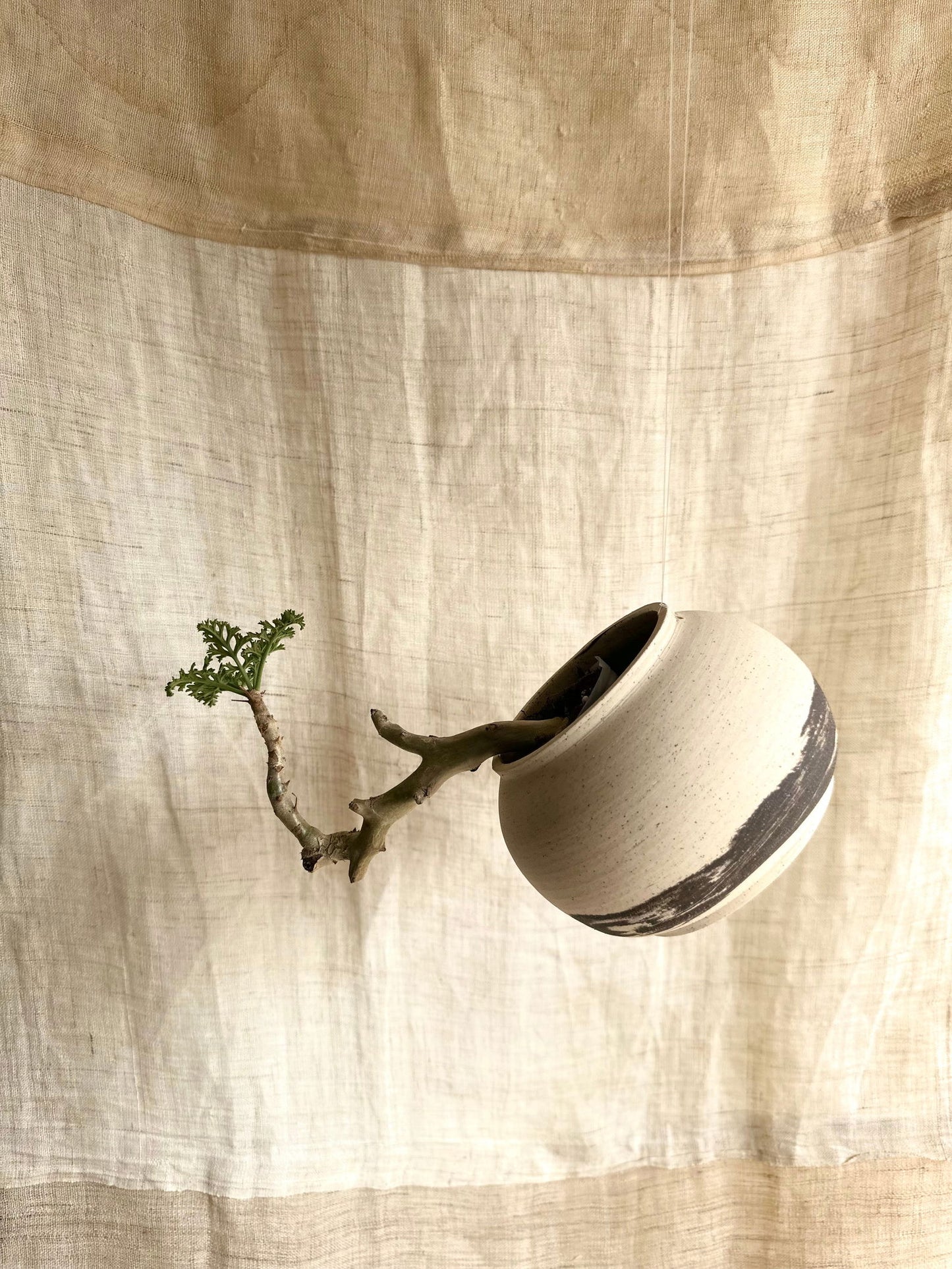 19 inkwash planter - Mipa's pots and plants