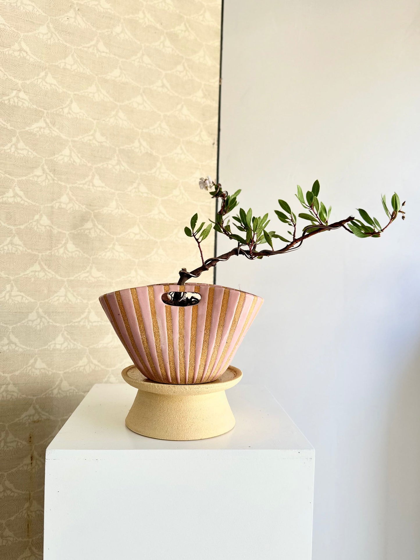 1 pink purse planter set - Mipa's pots and plants