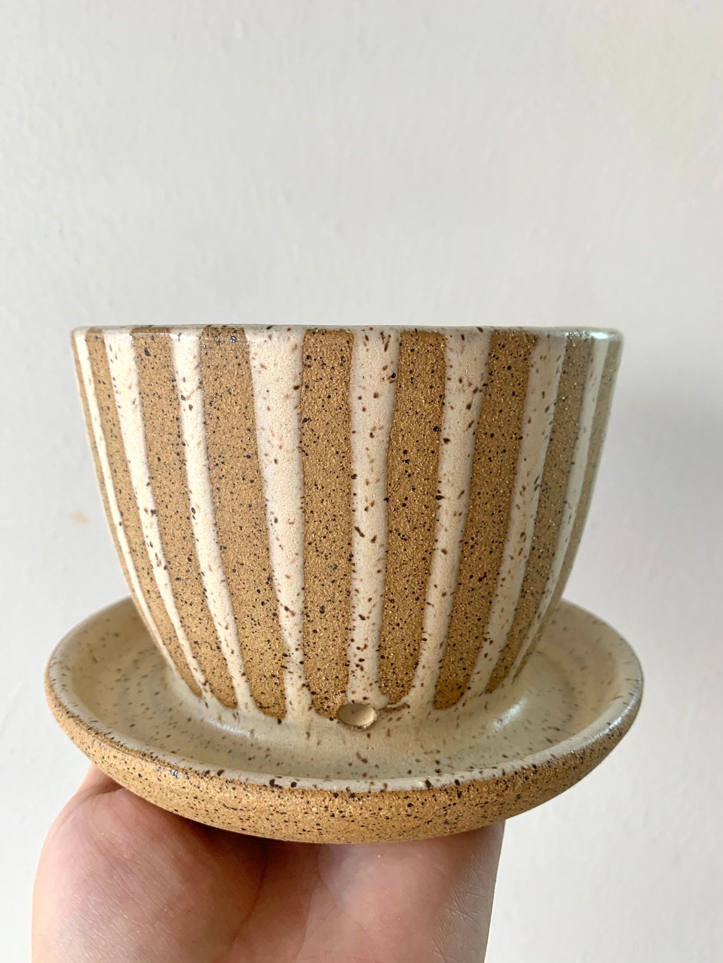 22 Striped planter w/ saucer - Mipa's pots and plants