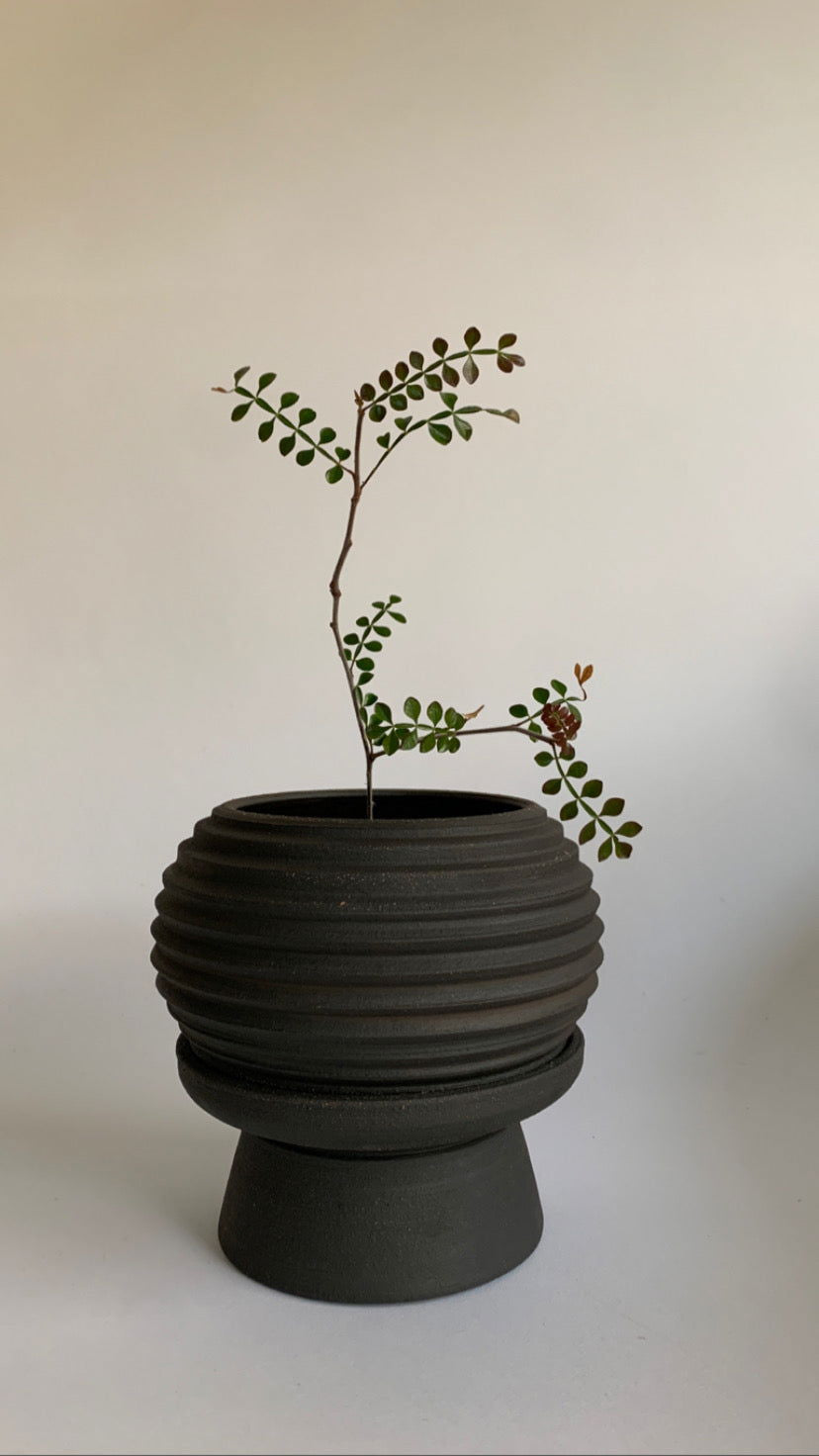 2 pedestal saucer set - Mipa's pots and plants