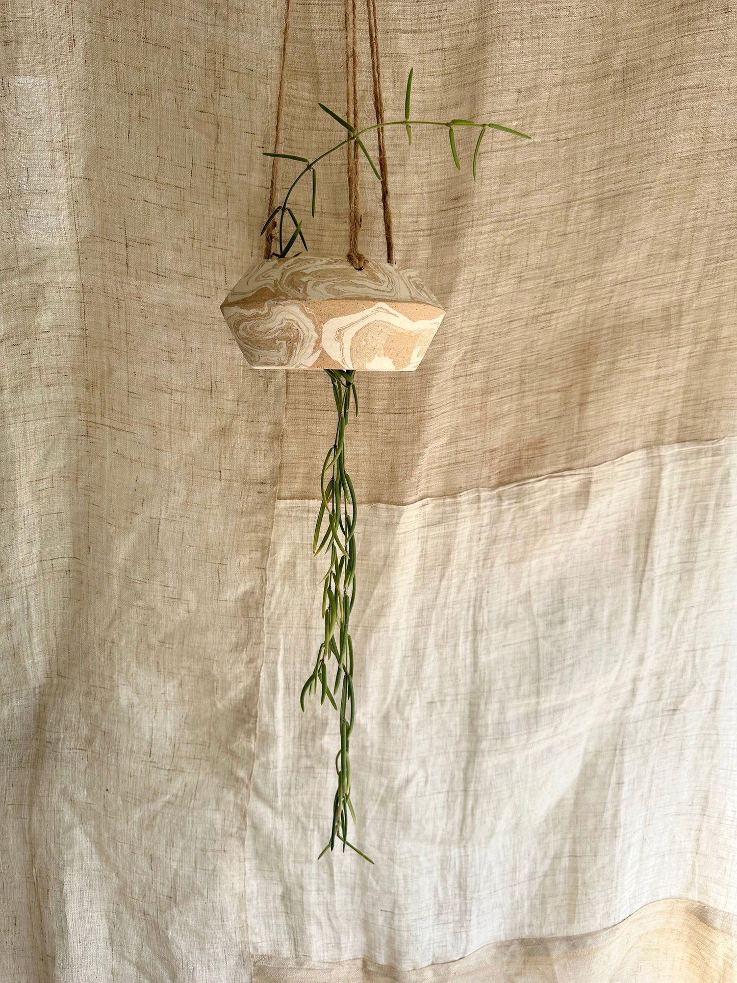 34 sandstorm UFO planter - Mipa's pots and plants