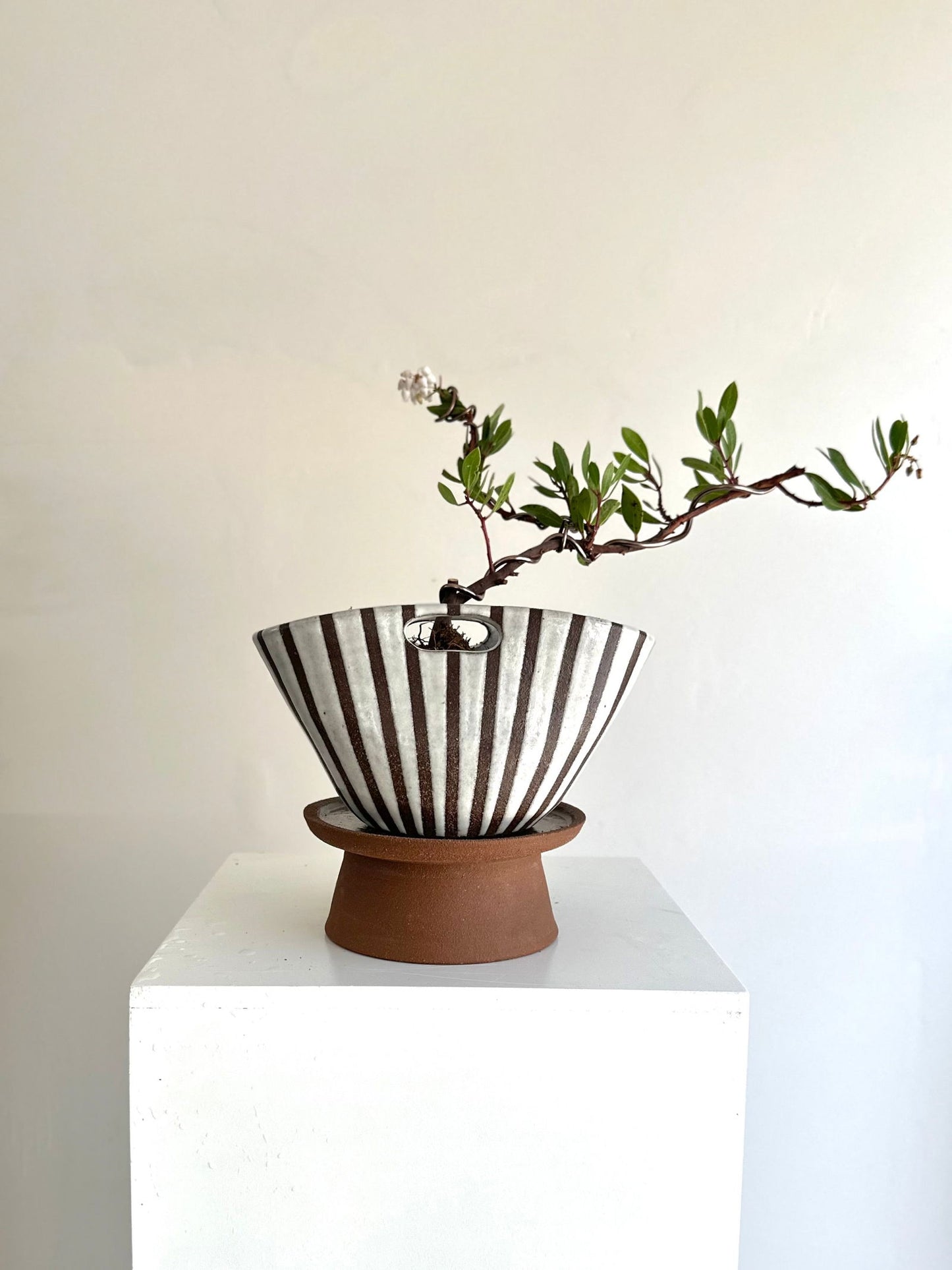 3 chocolate striped purse planter set - Mipa's pots and plants