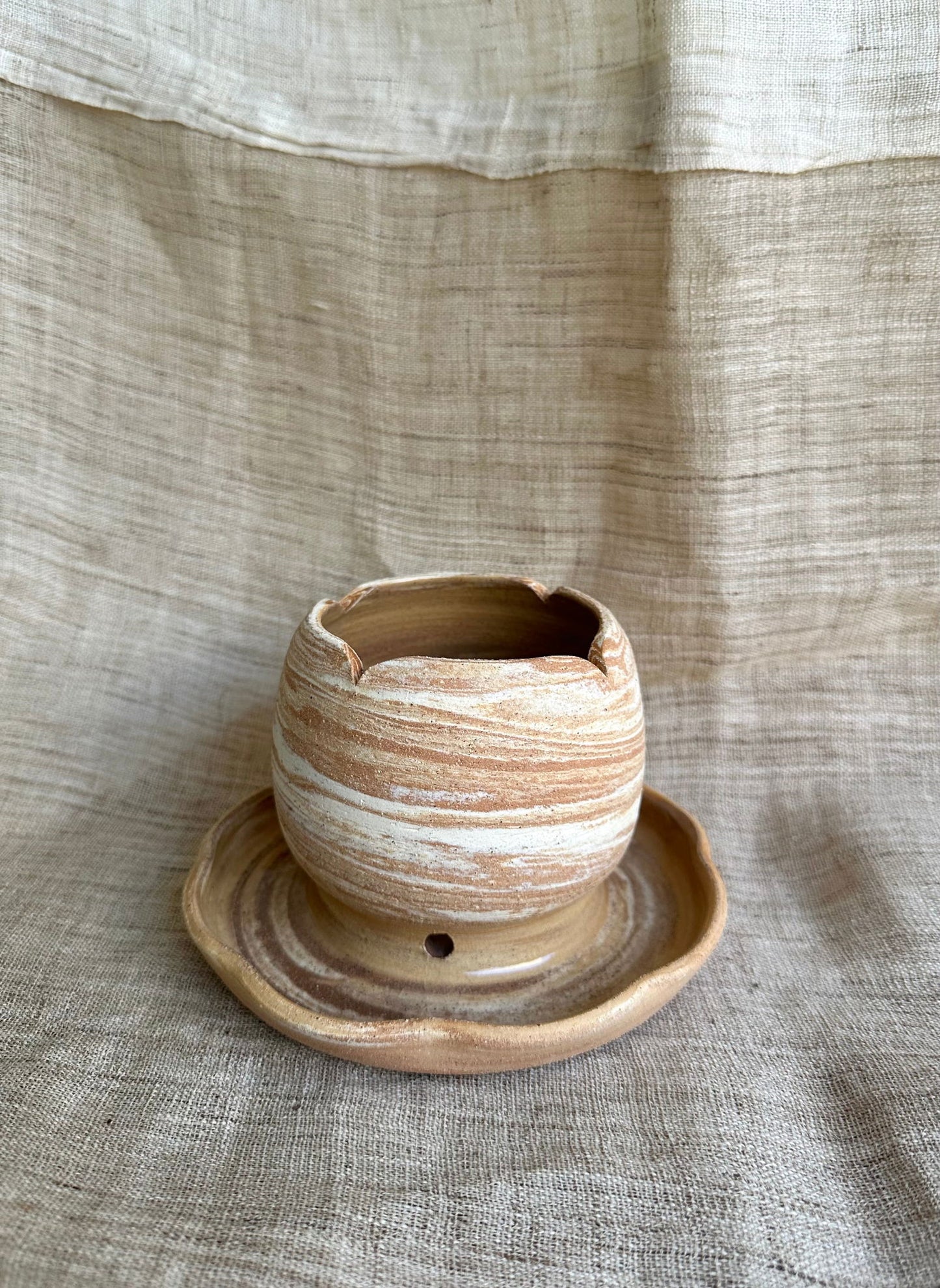 43 terra cream tulip planter w/ saucer - Mipa's pots and plants