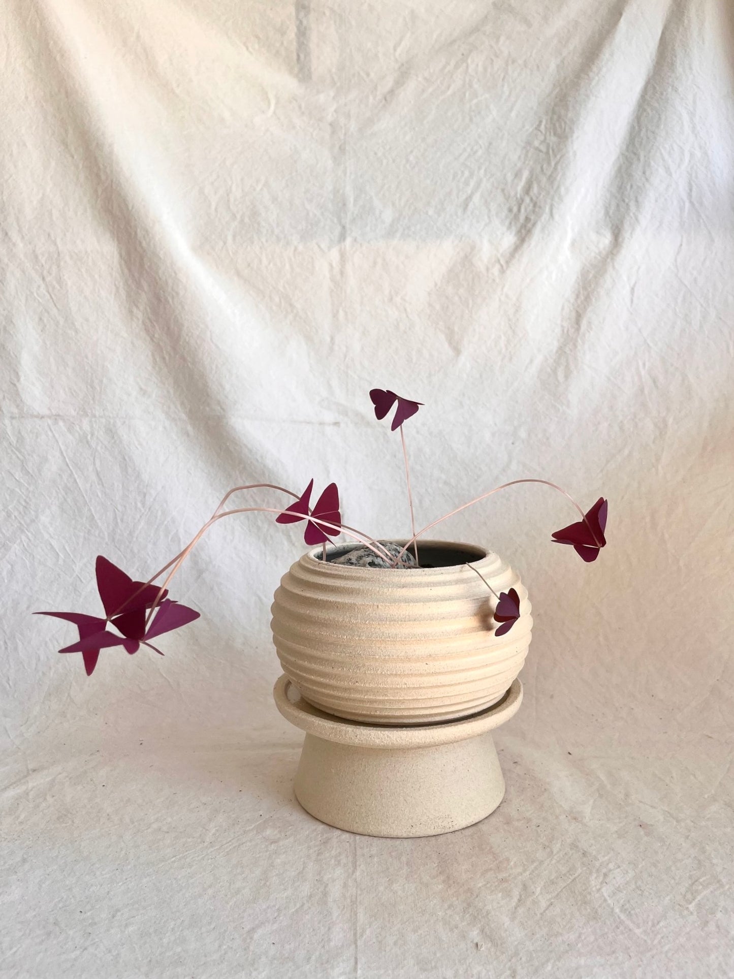 2 off-white pedestal saucer set