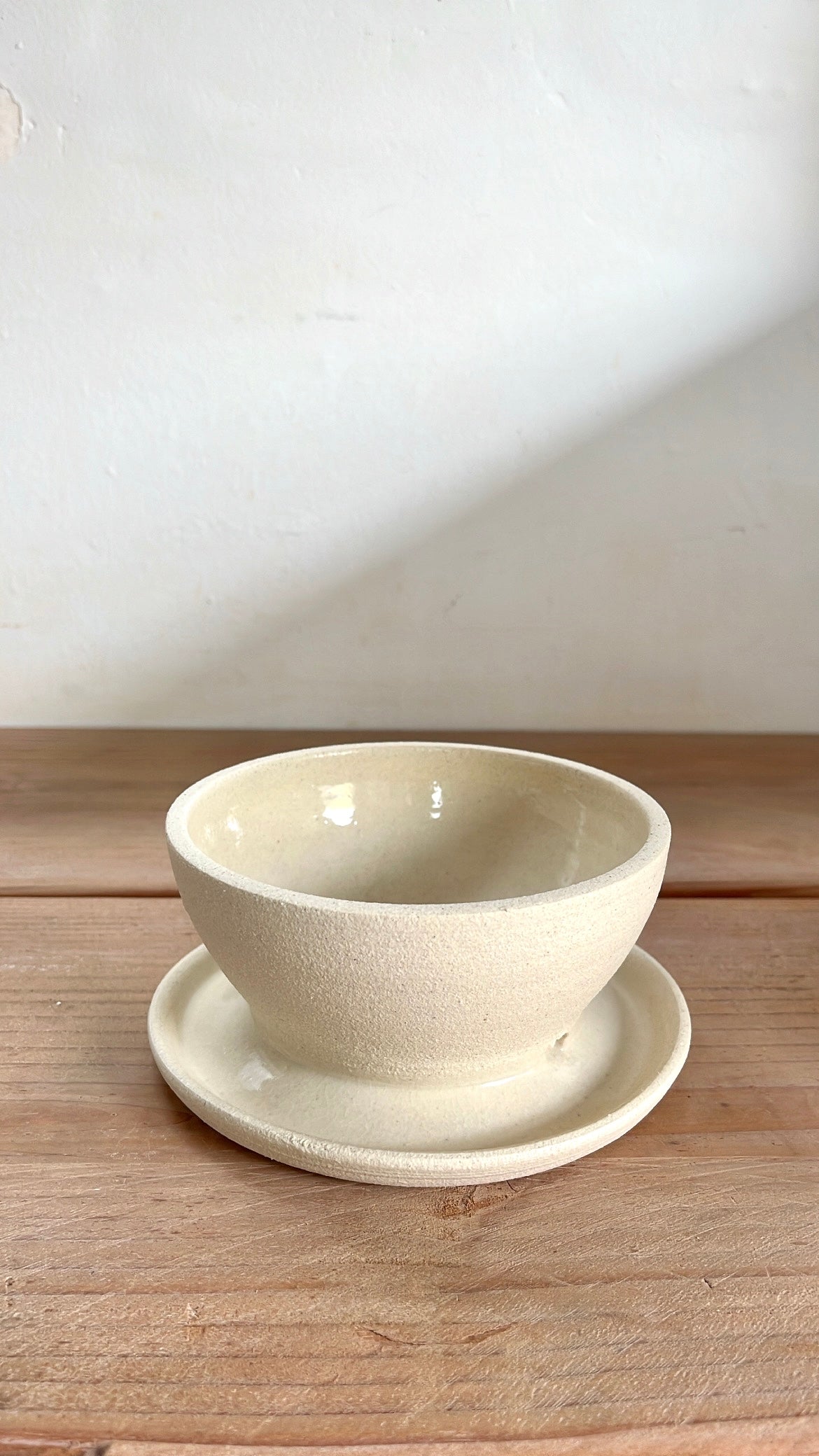 46 caudex planter - Mipa's pots and plants