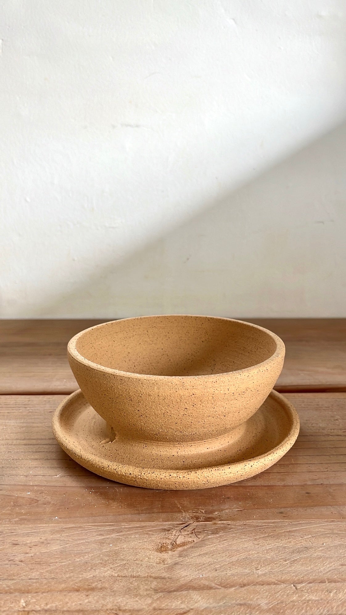 46 caudex planter - Mipa's pots and plants