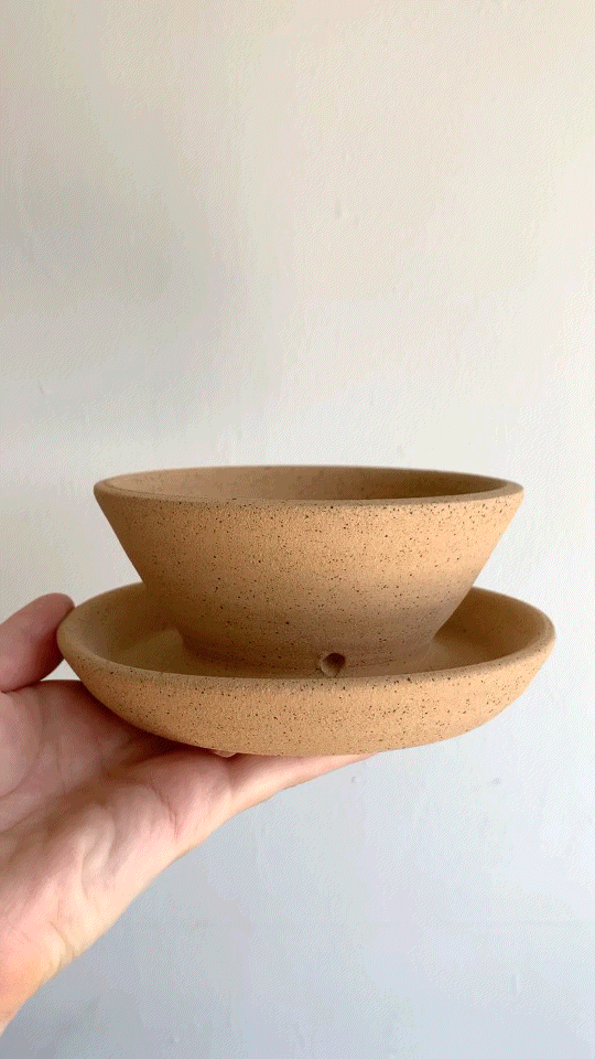 46 caudex planter - Mipa's pots and plants