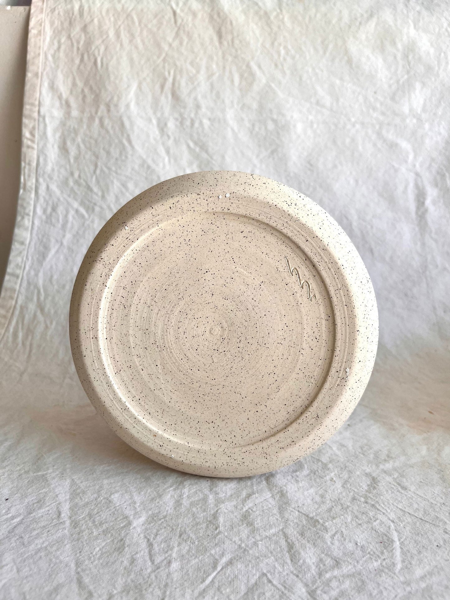 46 caudex planter - Mipa's pots and plants