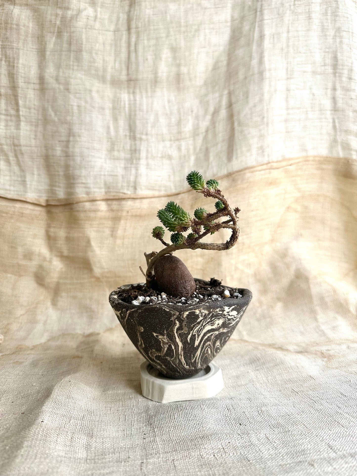 50 inkwash planter set - Mipa's pots and plants