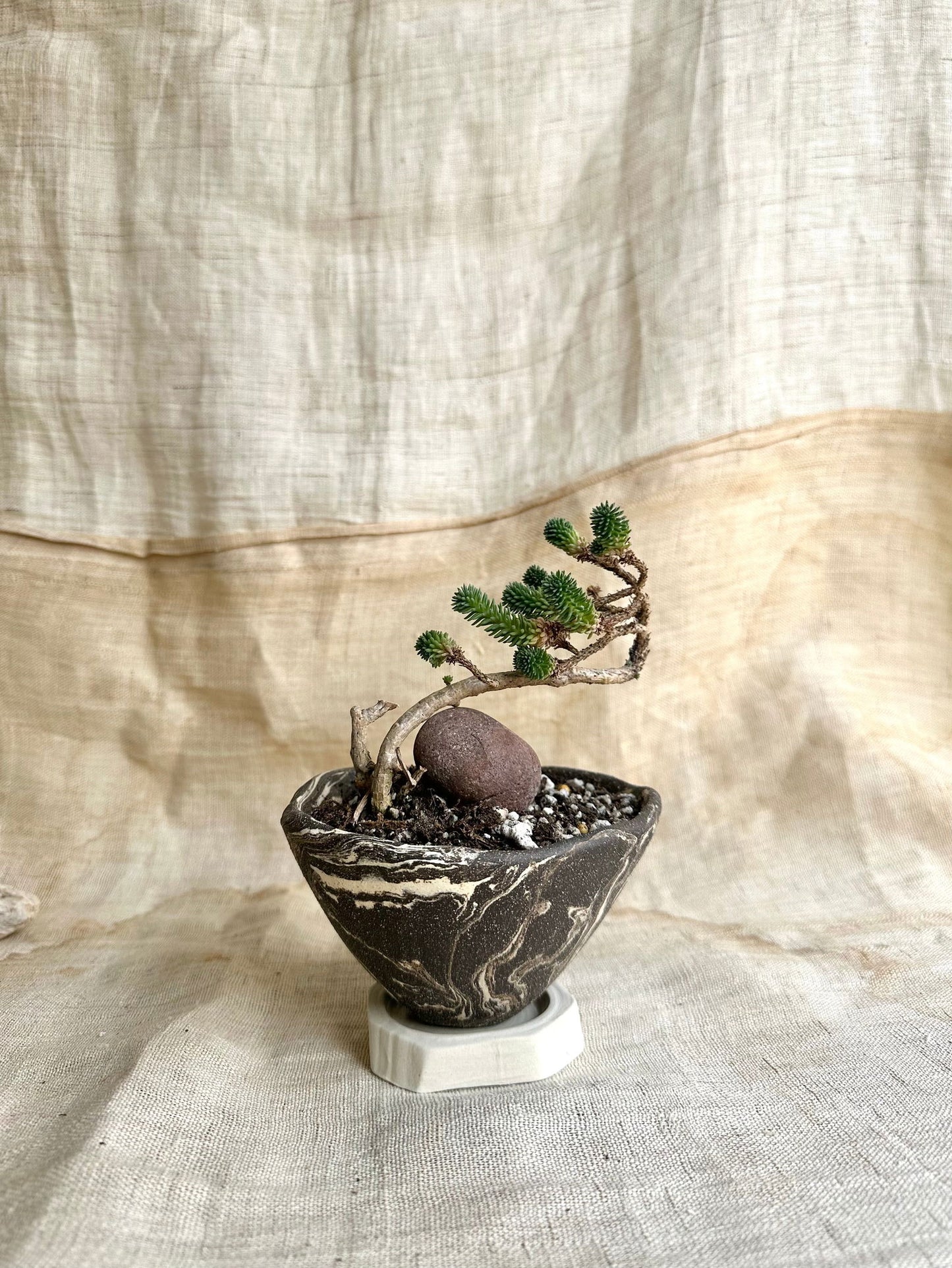 50 inkwash planter set - Mipa's pots and plants