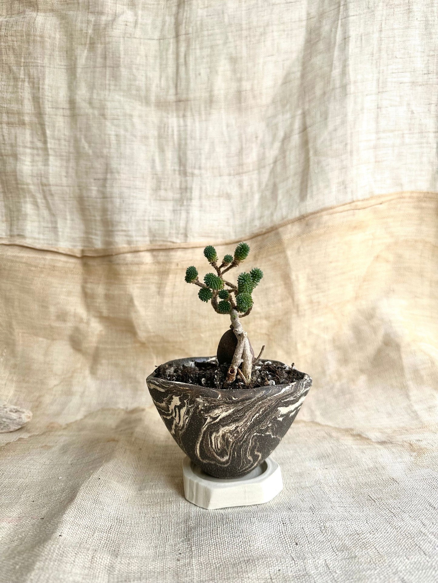 50 inkwash planter set - Mipa's pots and plants
