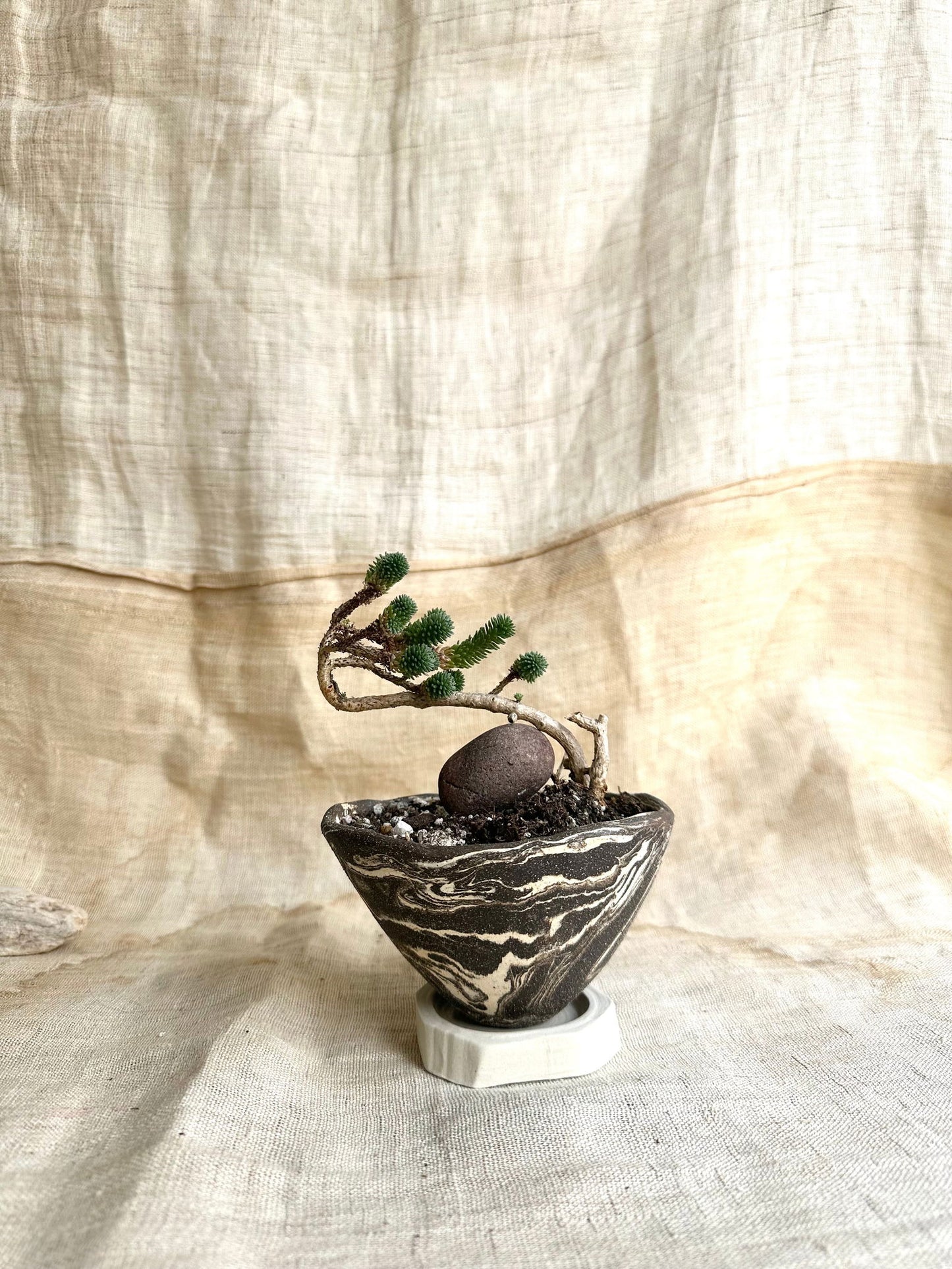 50 inkwash planter set - Mipa's pots and plants