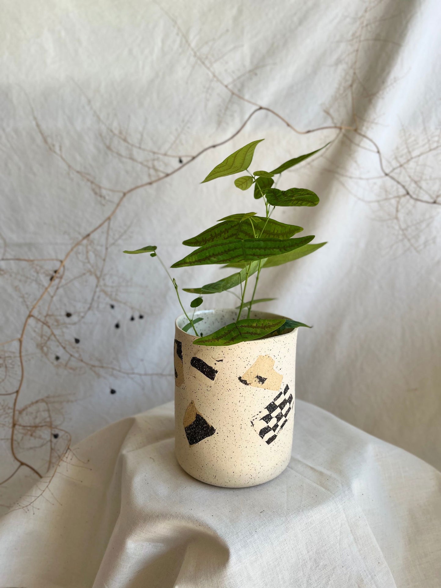 53 checkers planter (NO drainage hole) - Mipa's pots and plants