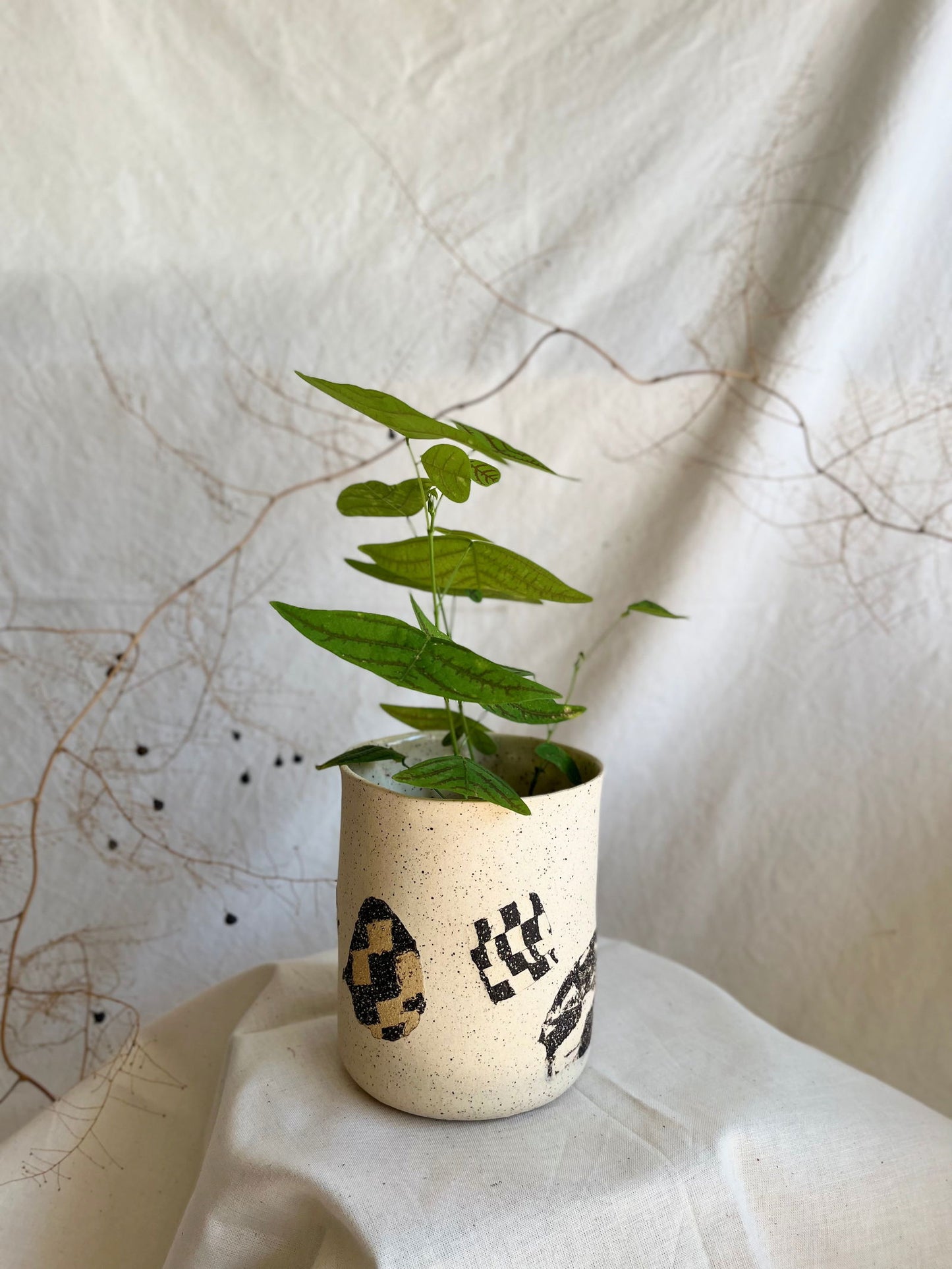 53 checkers planter (NO drainage hole) - Mipa's pots and plants