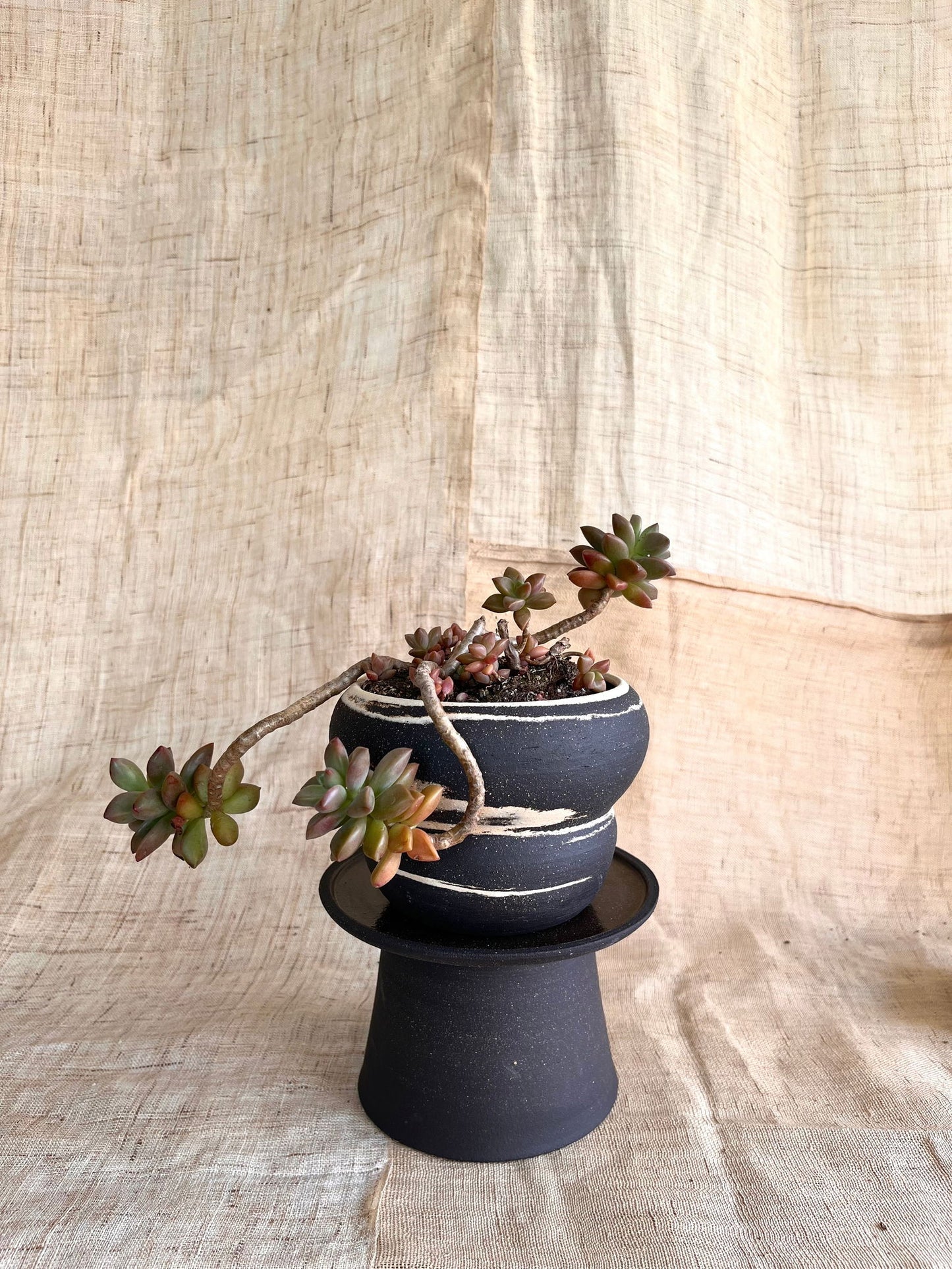 58 ink wash pedestal saucer set - Mipa's pots and plants