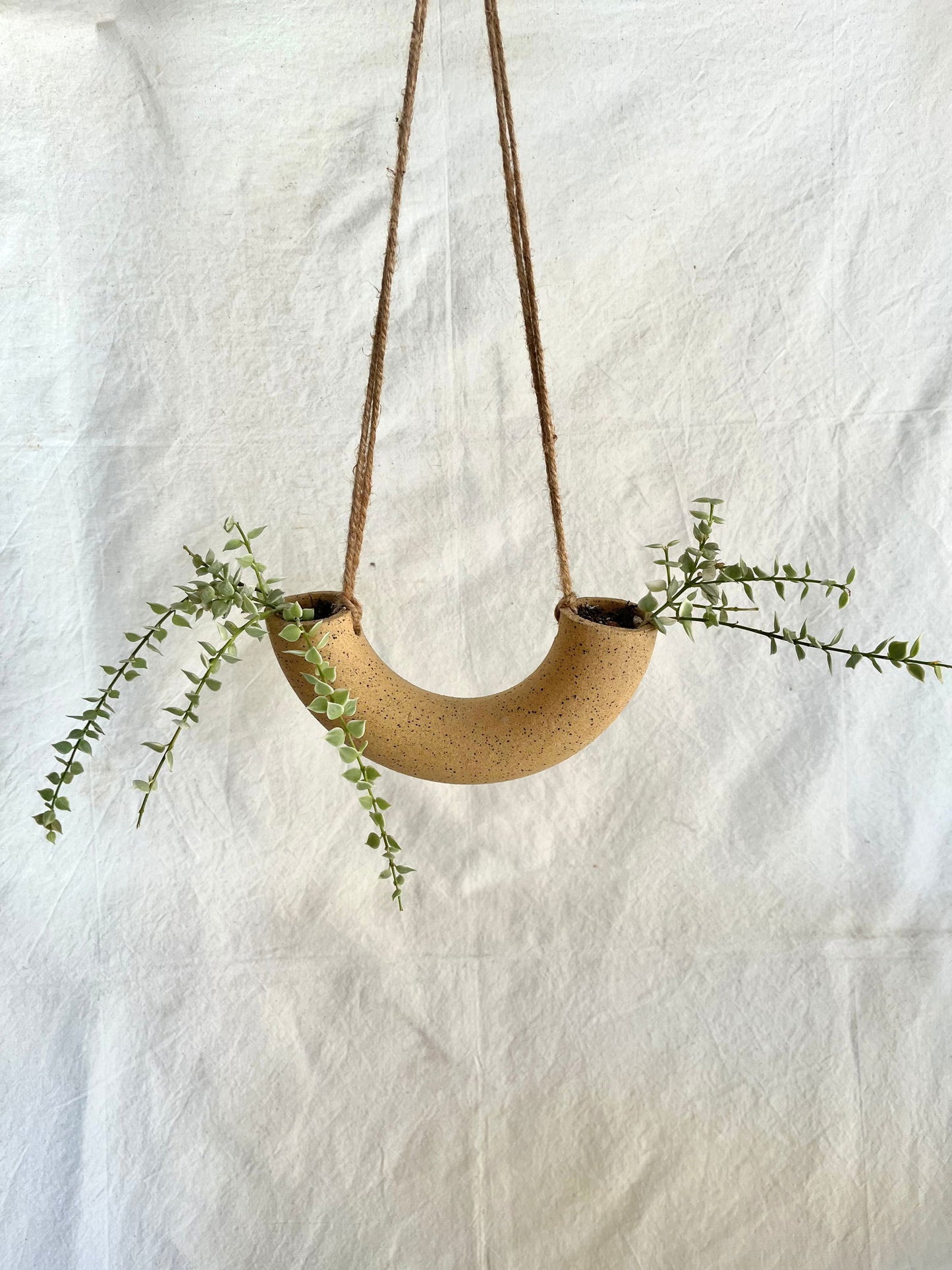 59 King macaroni planter - Mipa's pots and plants