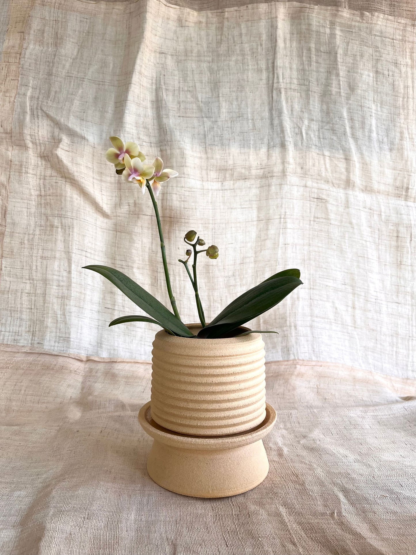 5 sand pedestal saucer set - Mipa's pots and plants