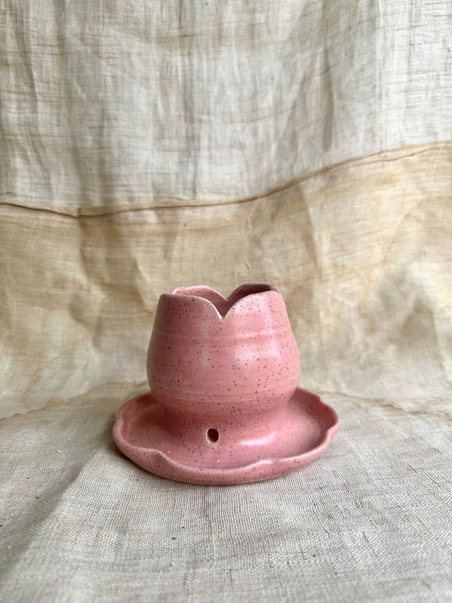 60 tulip planter - Mipa's pots and plants