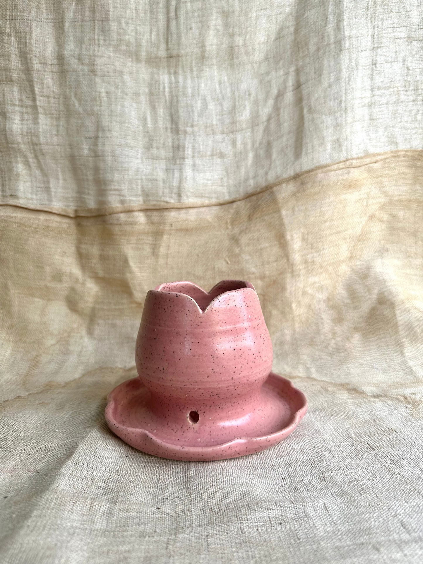 60 tulip planter - Mipa's pots and plants