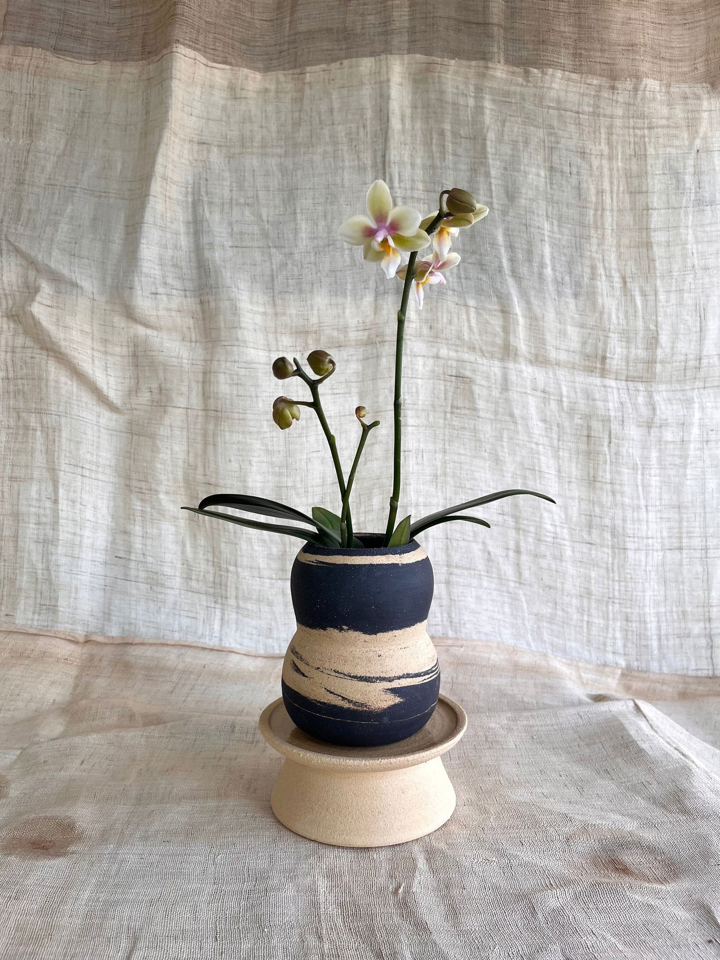 61 sand/black pedestal saucer set - Mipa's pots and plants