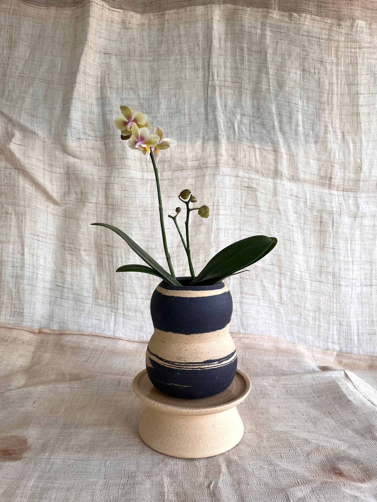 61 sand/black pedestal saucer set - Mipa's pots and plants