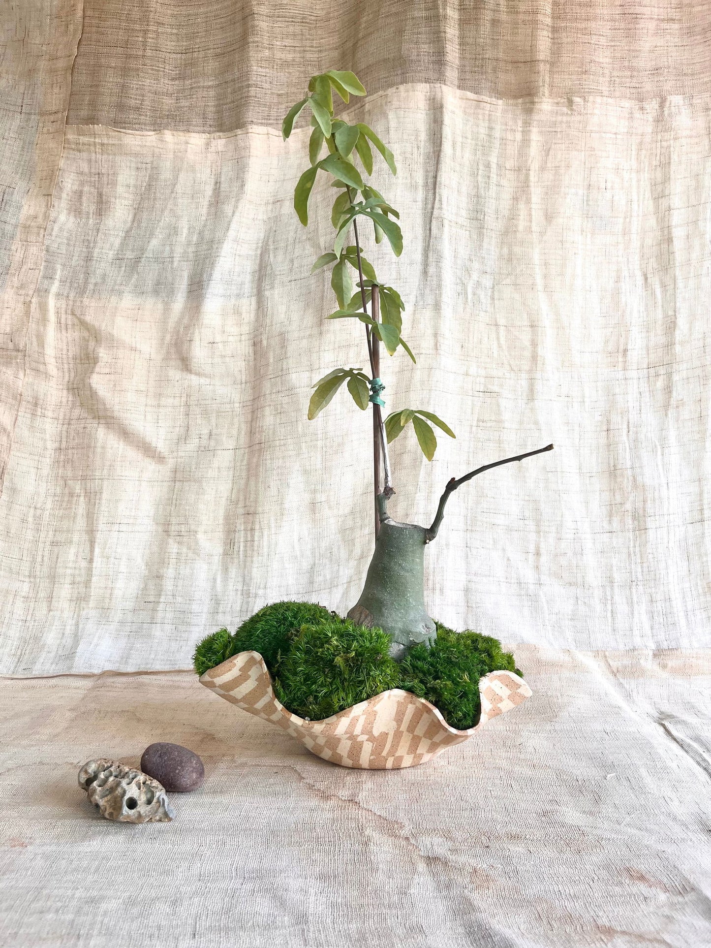 63 mosaic oyster planter - Mipa's pots and plants