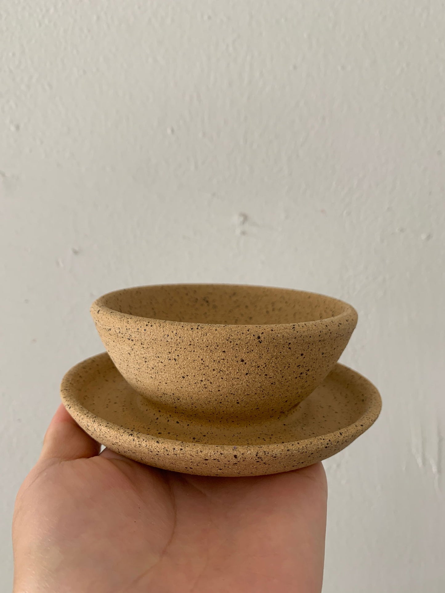 63 tiny caudex planter - Mipa's pots and plants