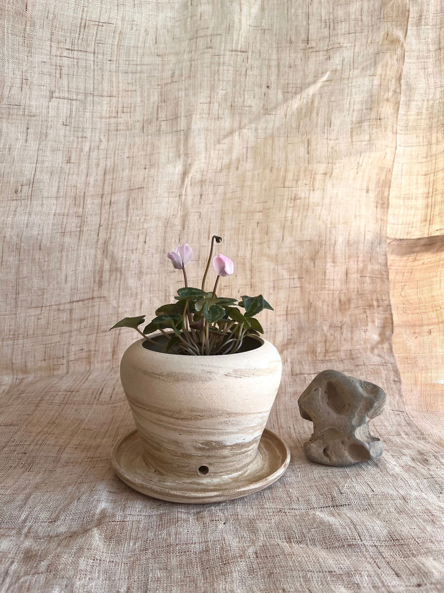 67 mud/cream planter - Mipa's pots and plants