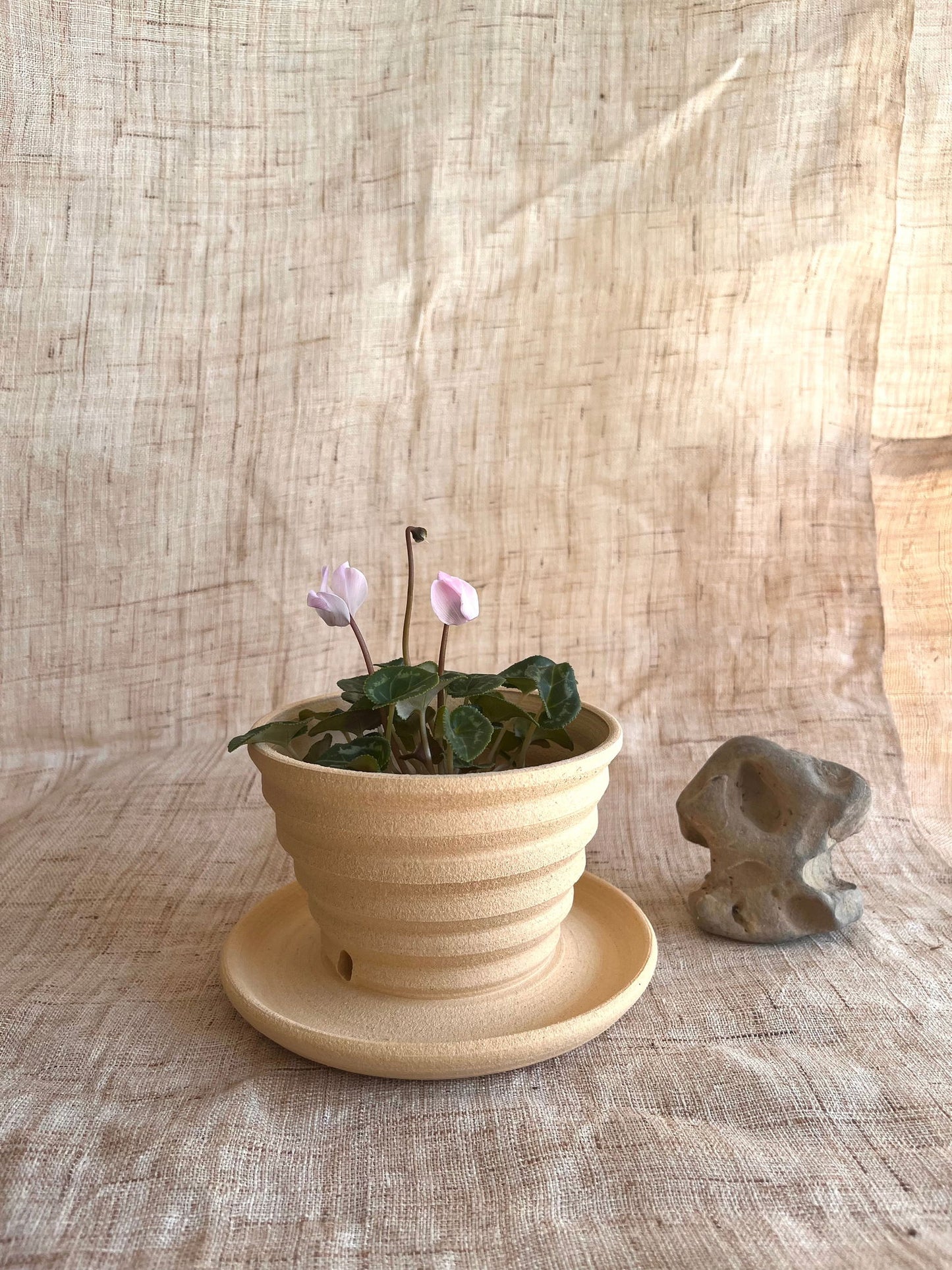 69 sand planter - Mipa's pots and plants