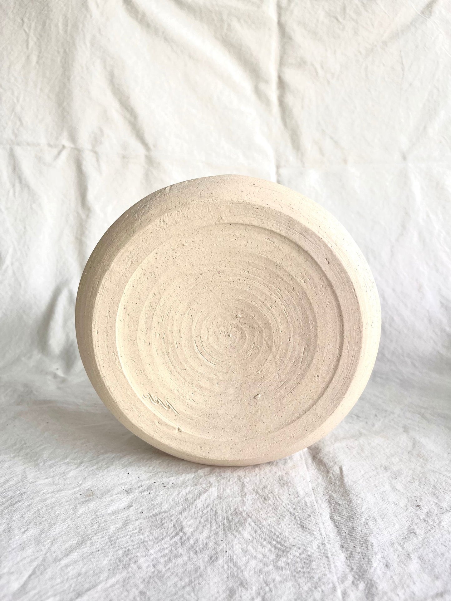 6 off-white flower caudex planter - Mipa's pots and plants
