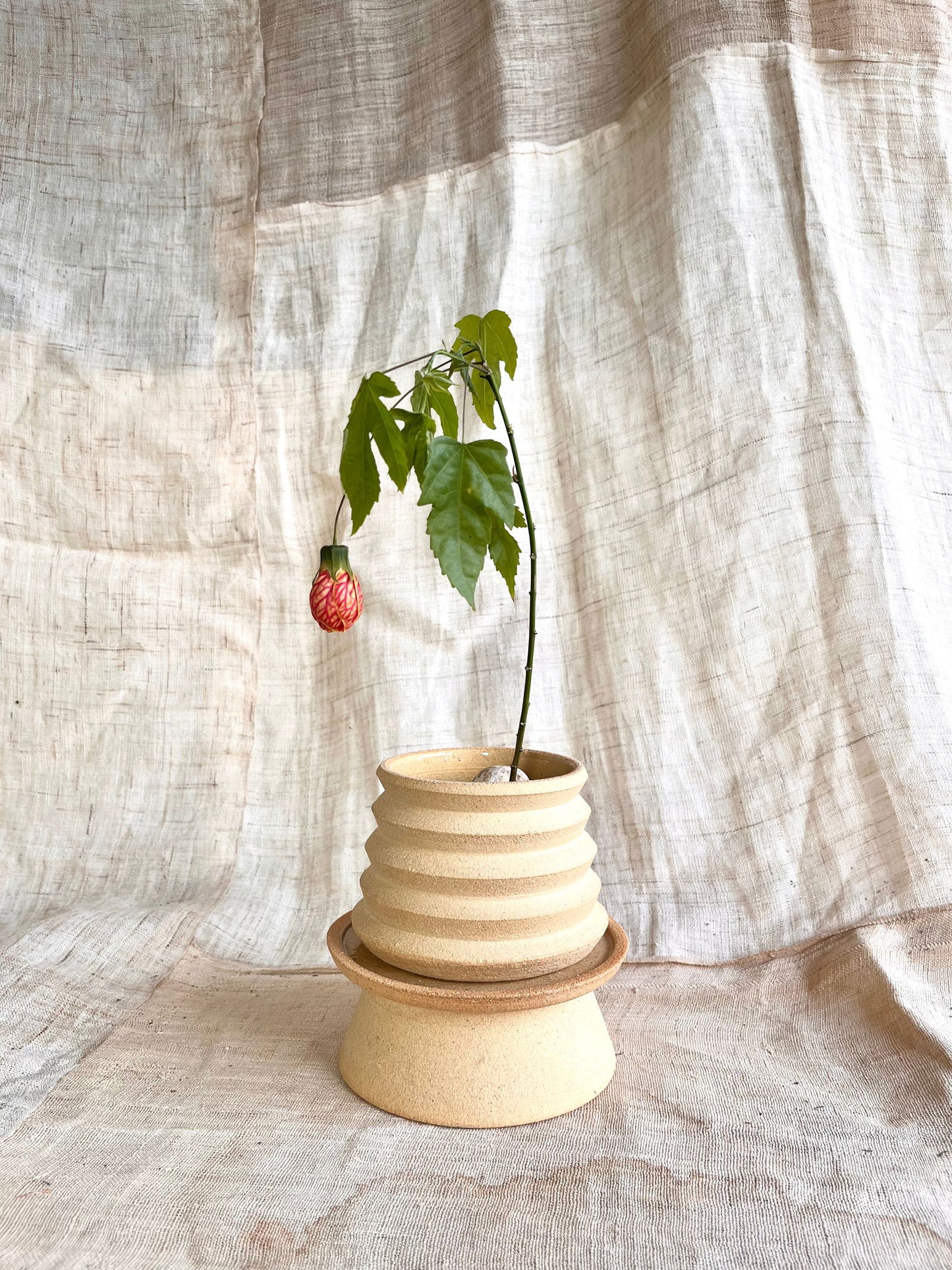 6 sand pedestal saucer set - Mipa's pots and plants