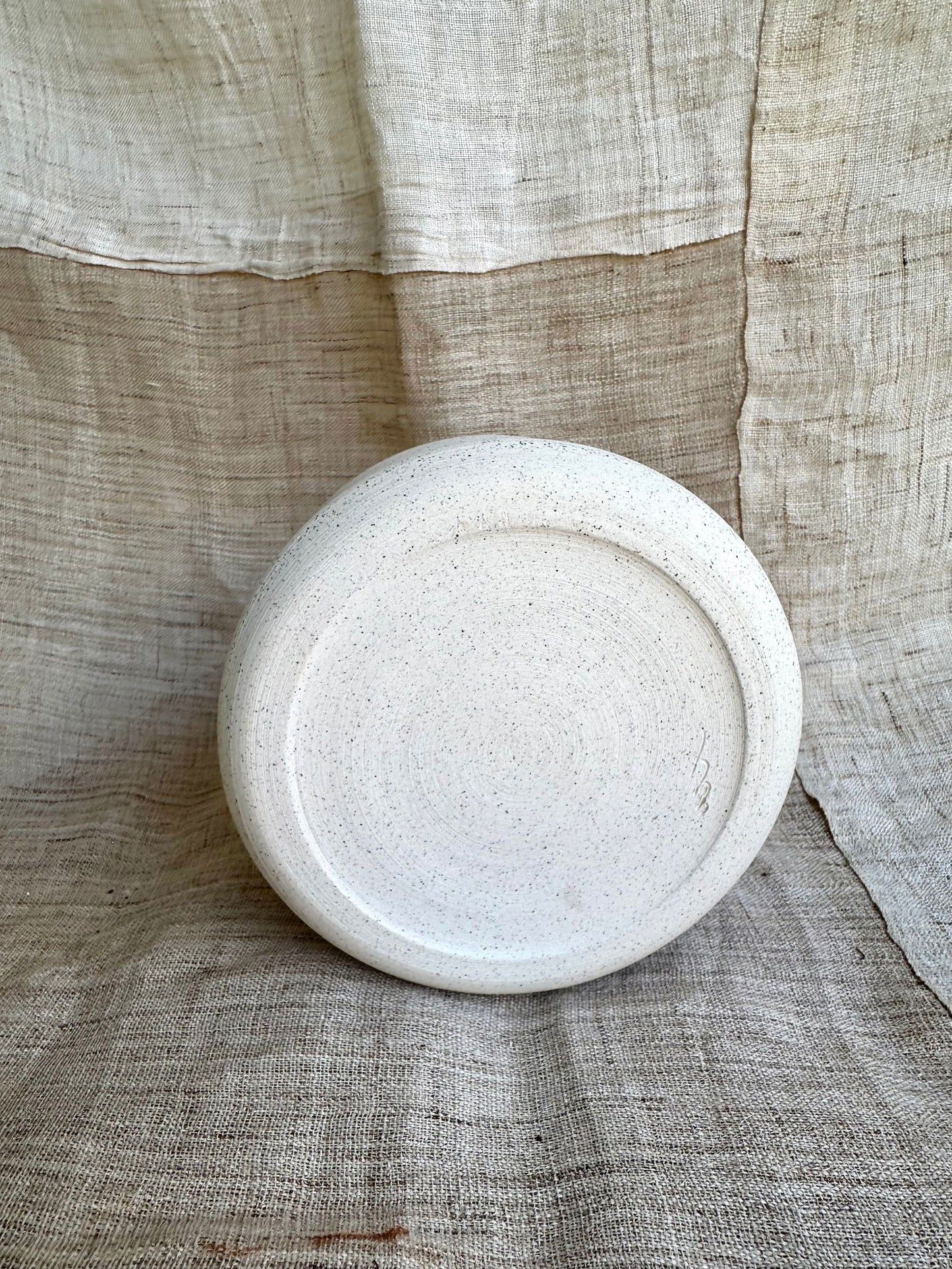 70 c/c large caudex planter - Mipa's pots and plants