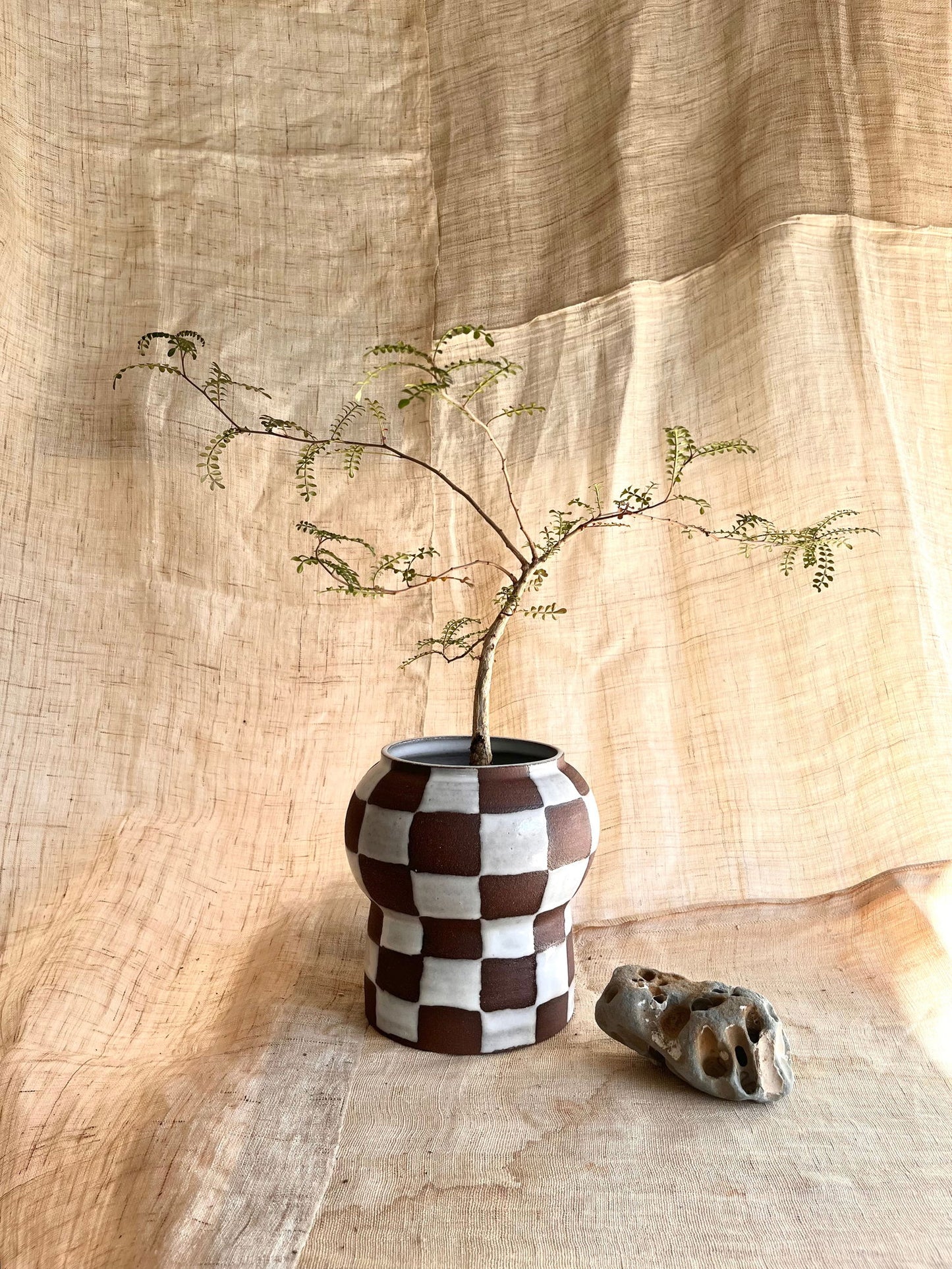 71 chocolate checkers planter - Mipa's pots and plants