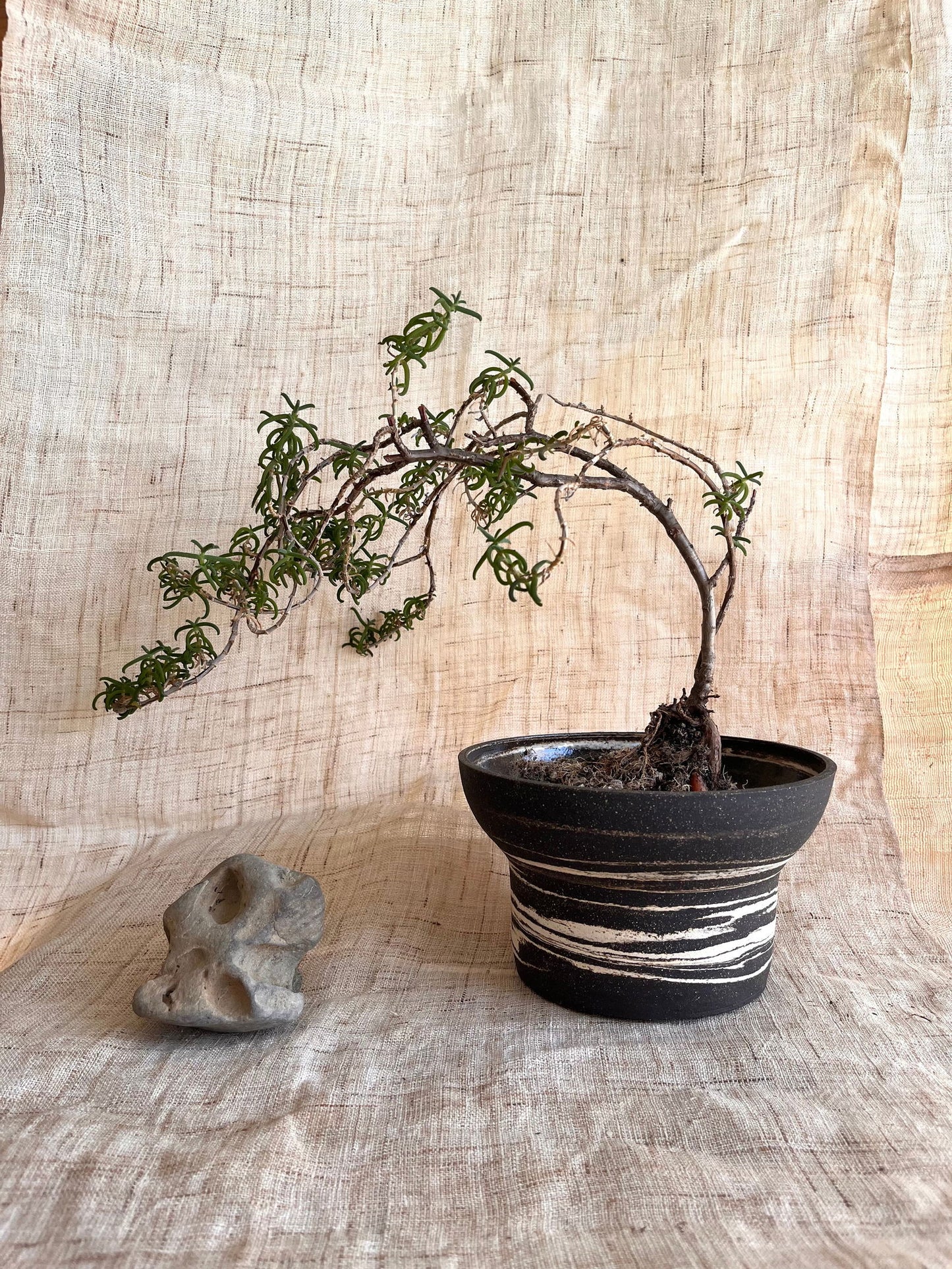 73 ink wash planter - Mipa's pots and plants