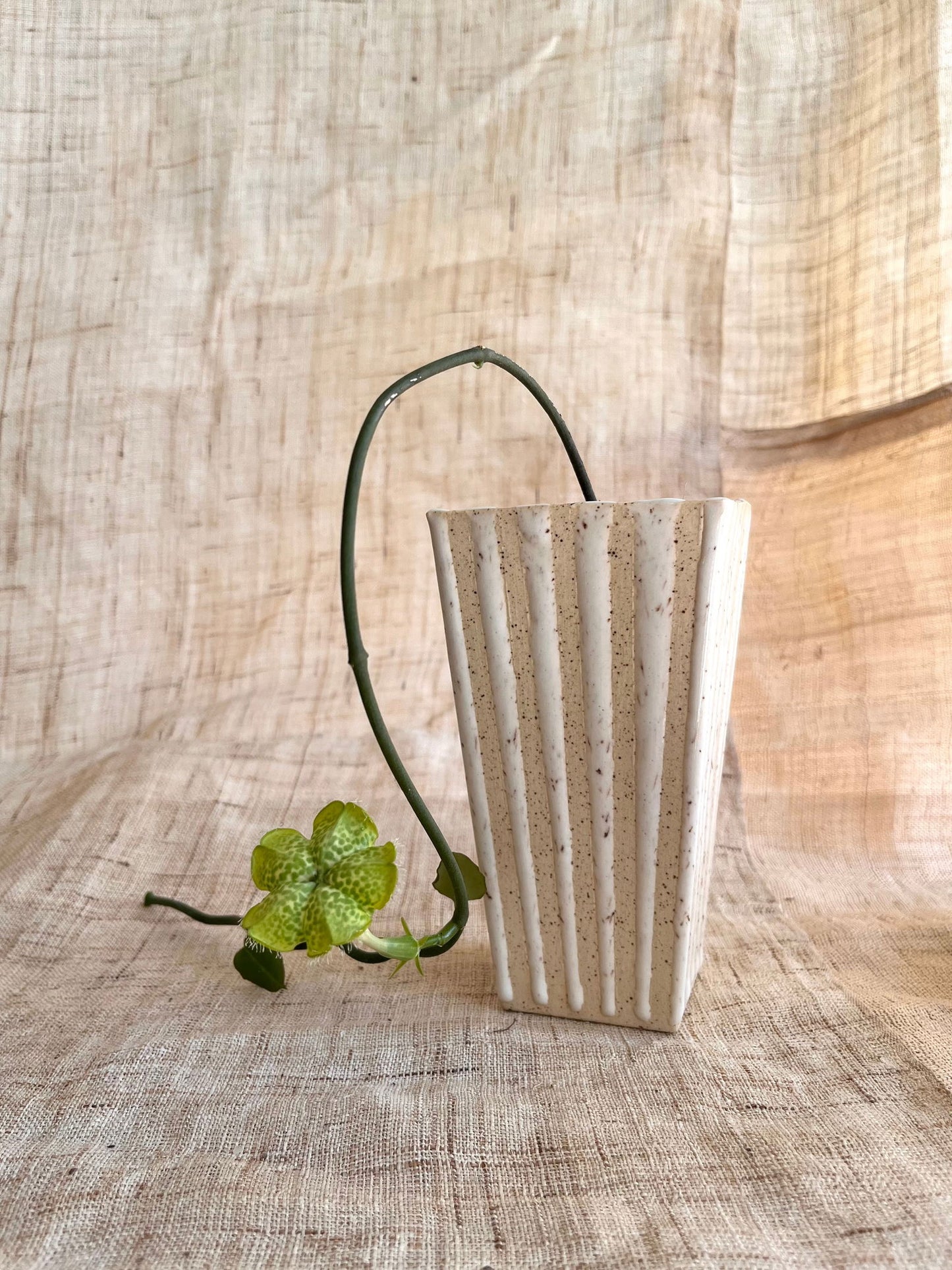 75 c/c popcorn planter - Mipa's pots and plants