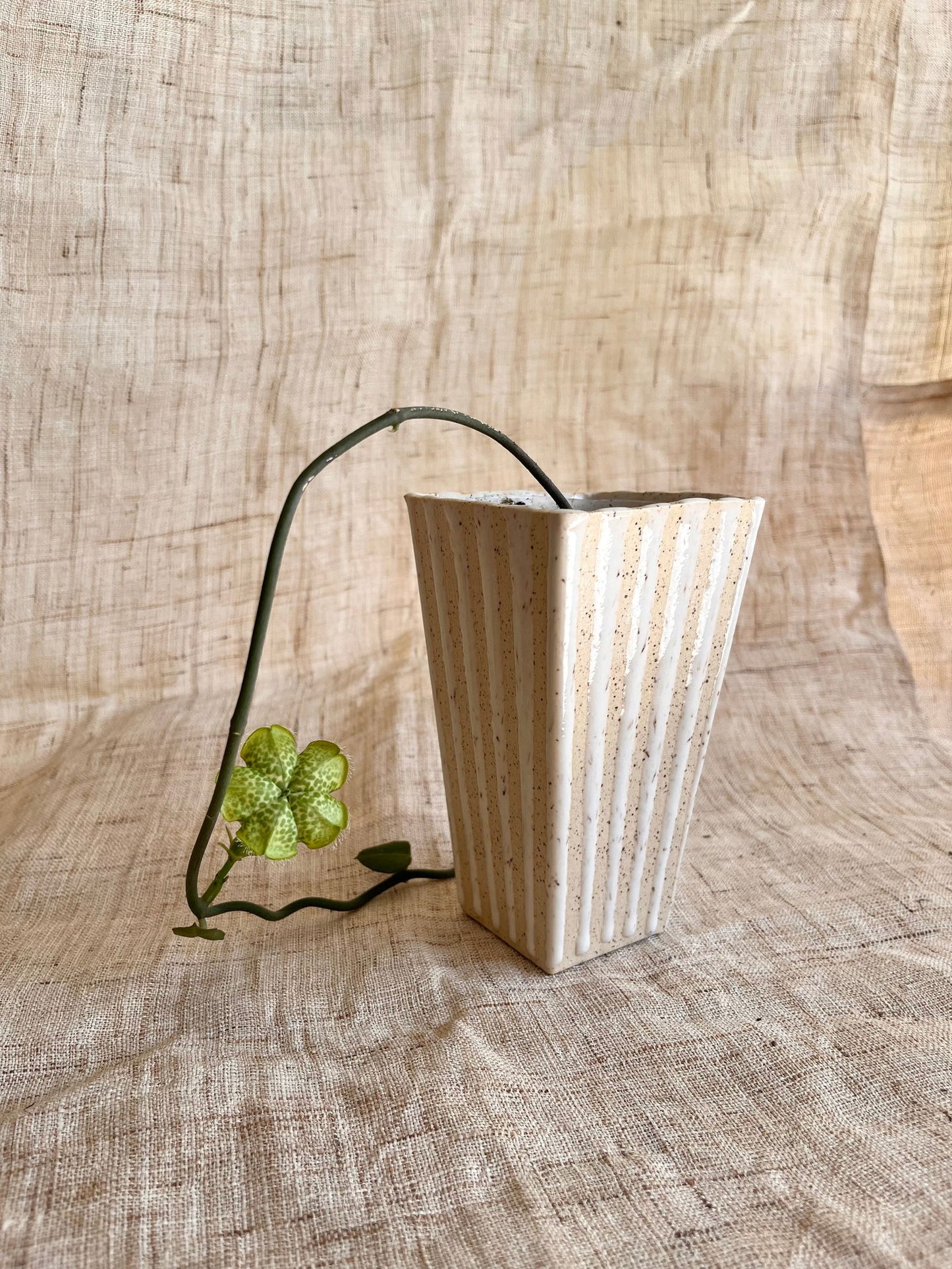 75 c/c popcorn planter - Mipa's pots and plants