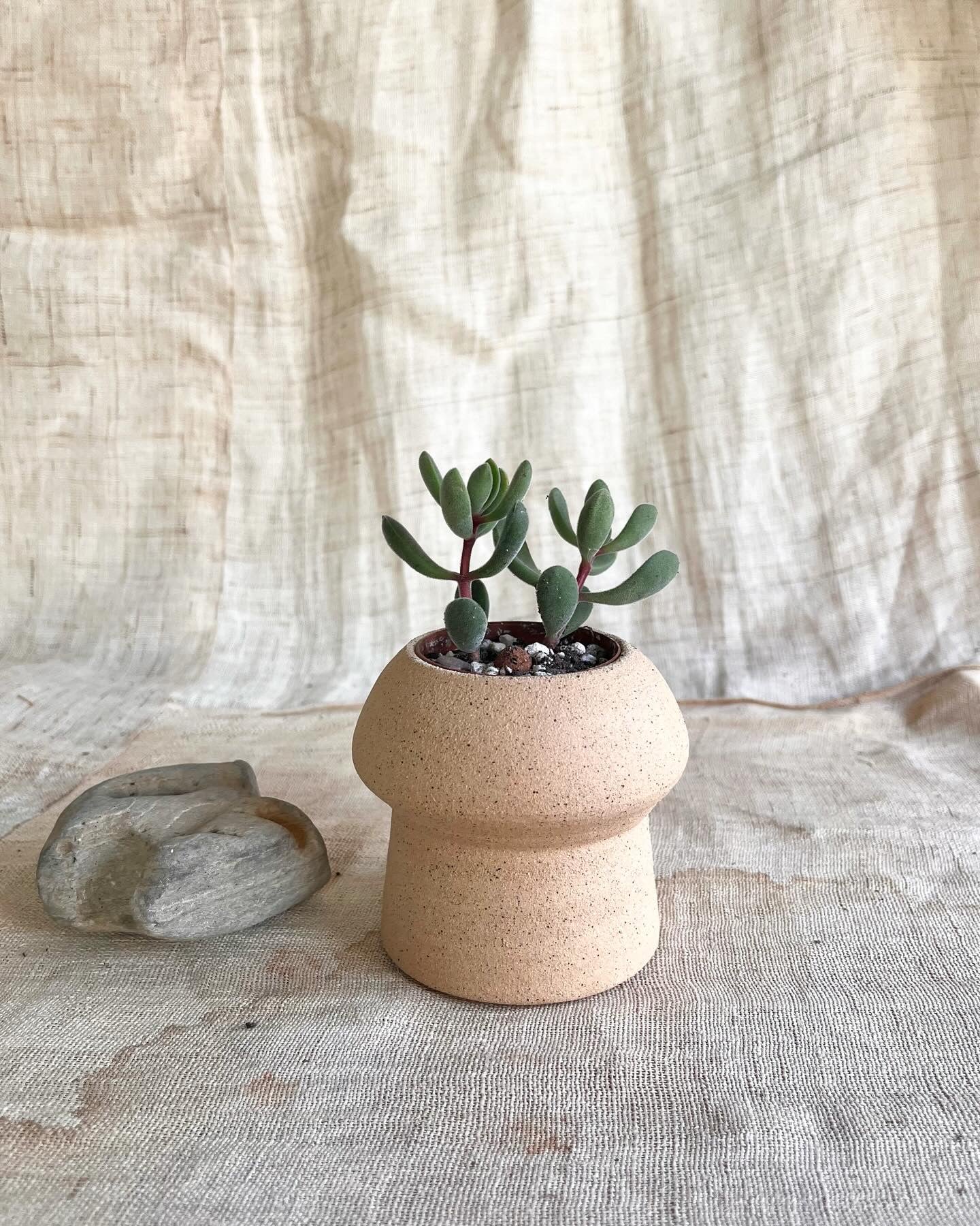 78 S.B mushroom planteru - Mipa's pots and plants