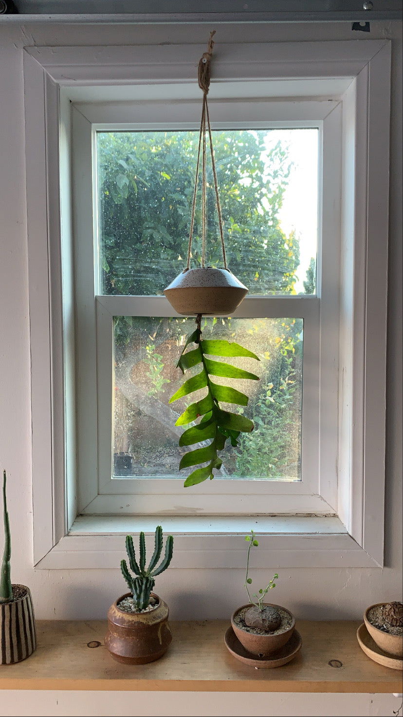 79 UFO planter - Mipa's pots and plants