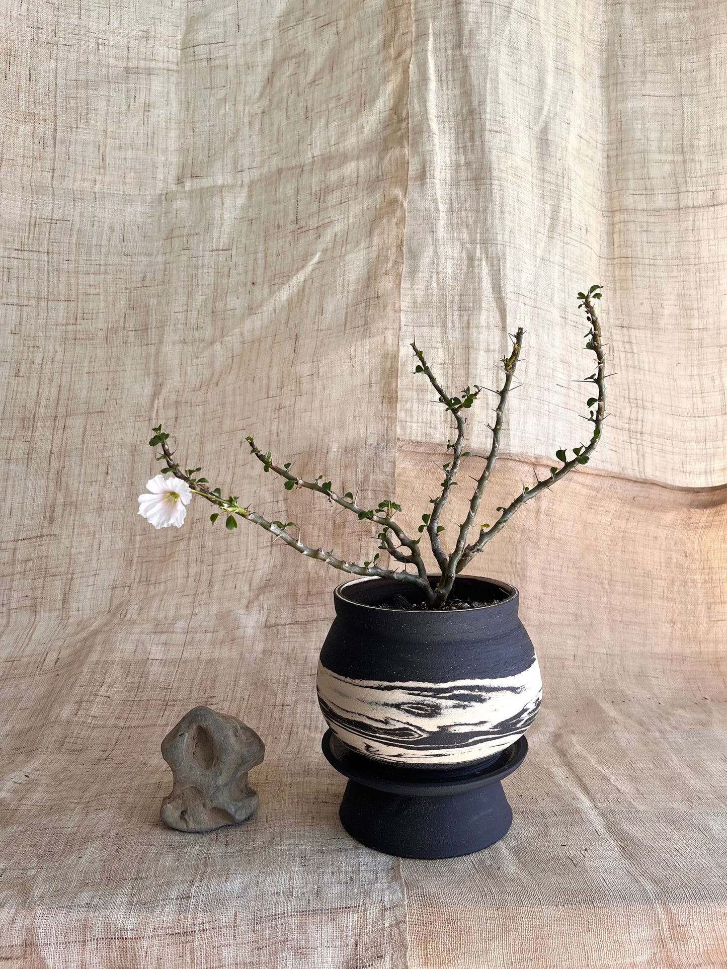 7 ink wash pedestal saucer set - Mipa's pots and plants