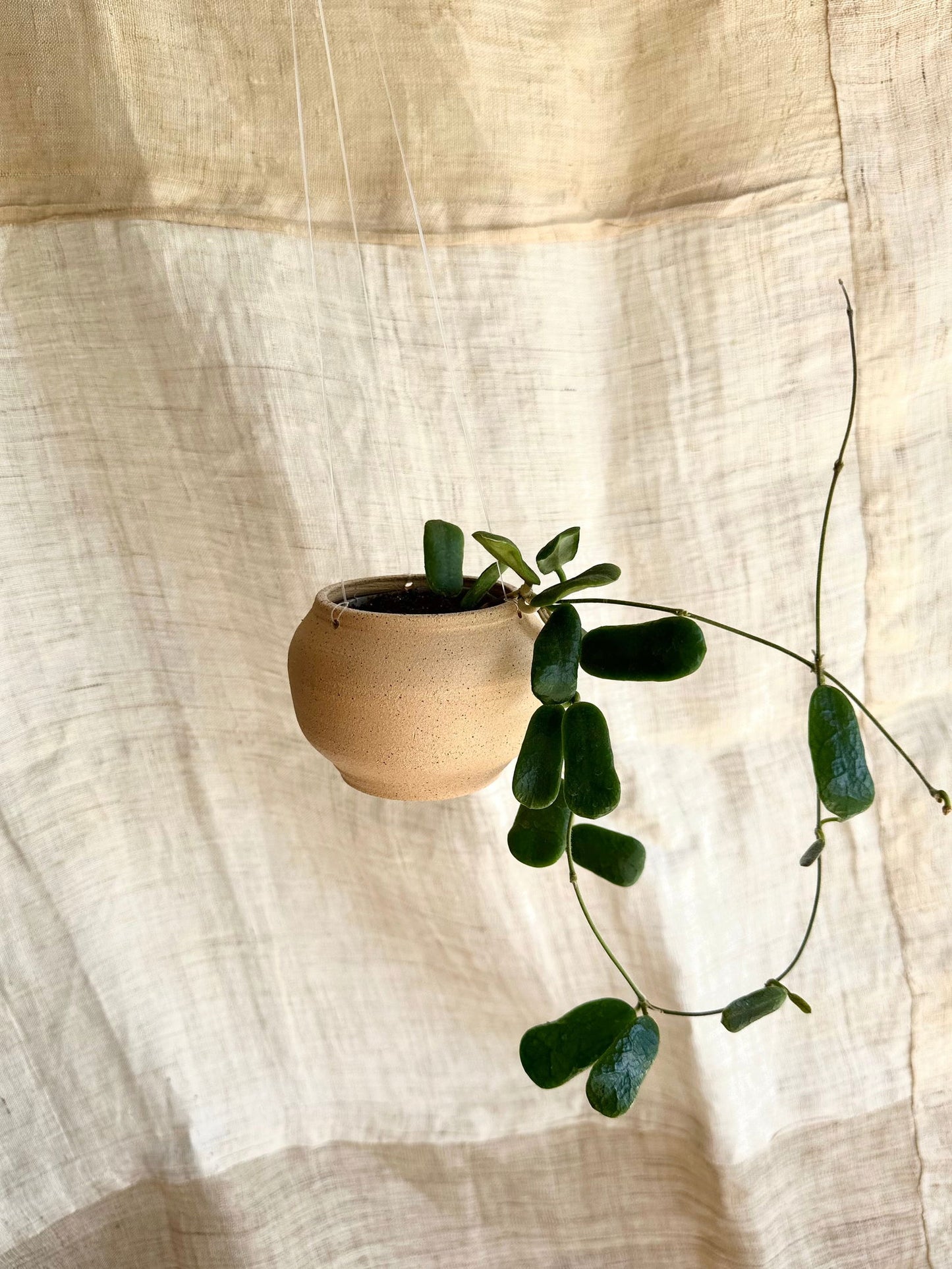 7 s.b hanging mini moonjar planter - Mipa's pots and plants