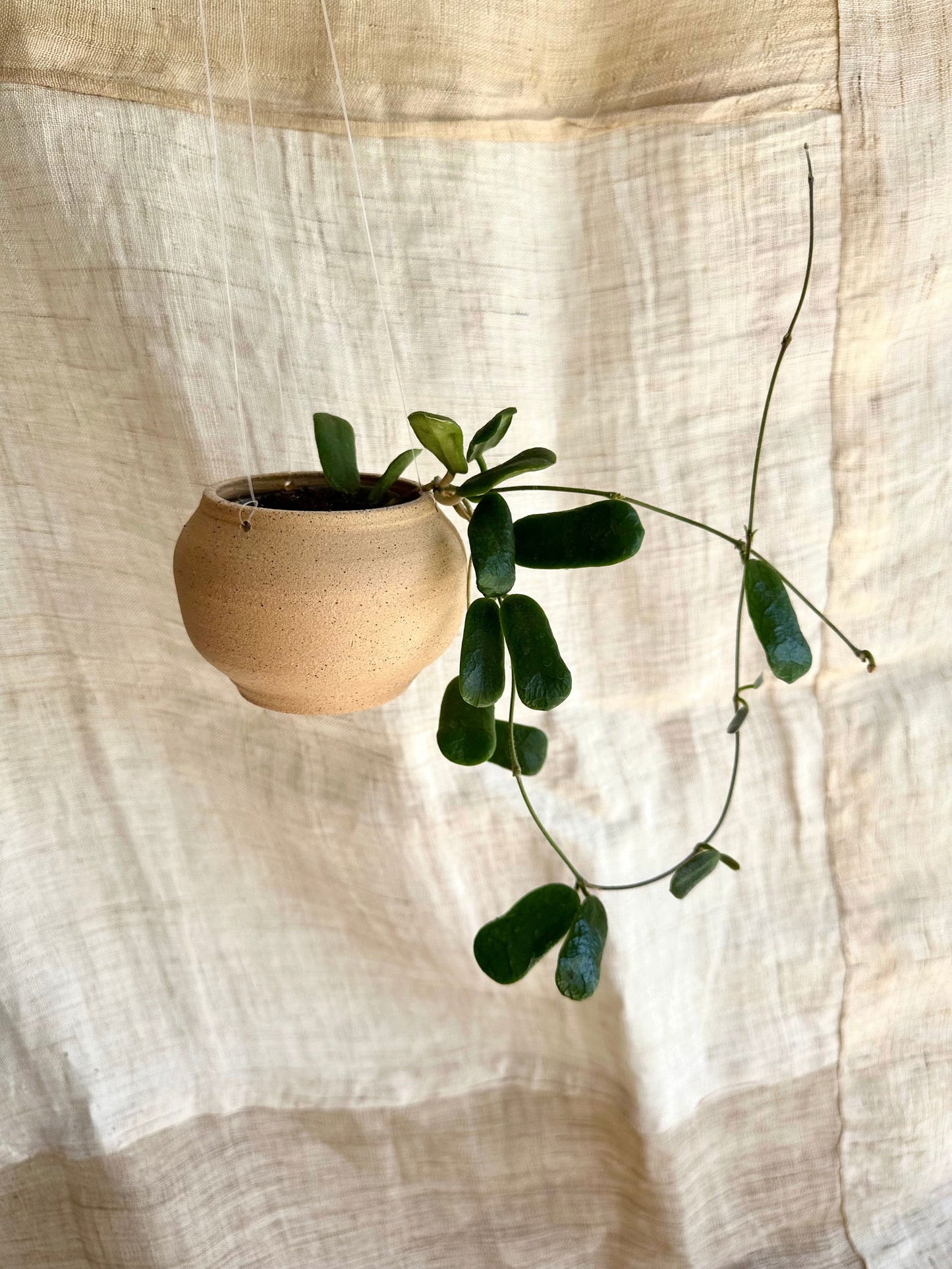 7 s.b hanging mini moonjar planter - Mipa's pots and plants