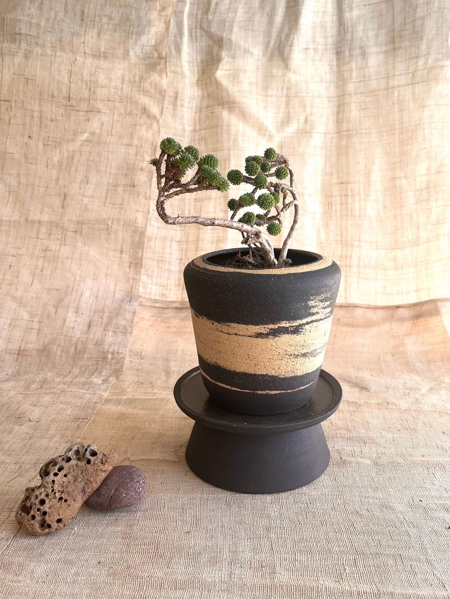 7 sand/black pedestal saucer set - Mipa's pots and plants