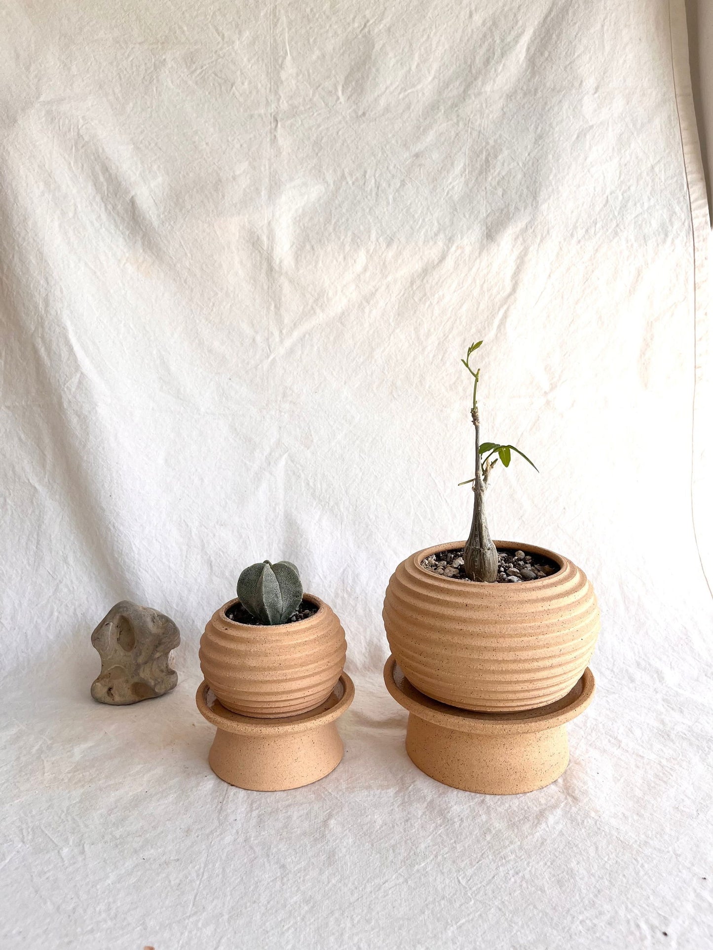 80 mini paper lantern planter set - Mipa's pots and plants