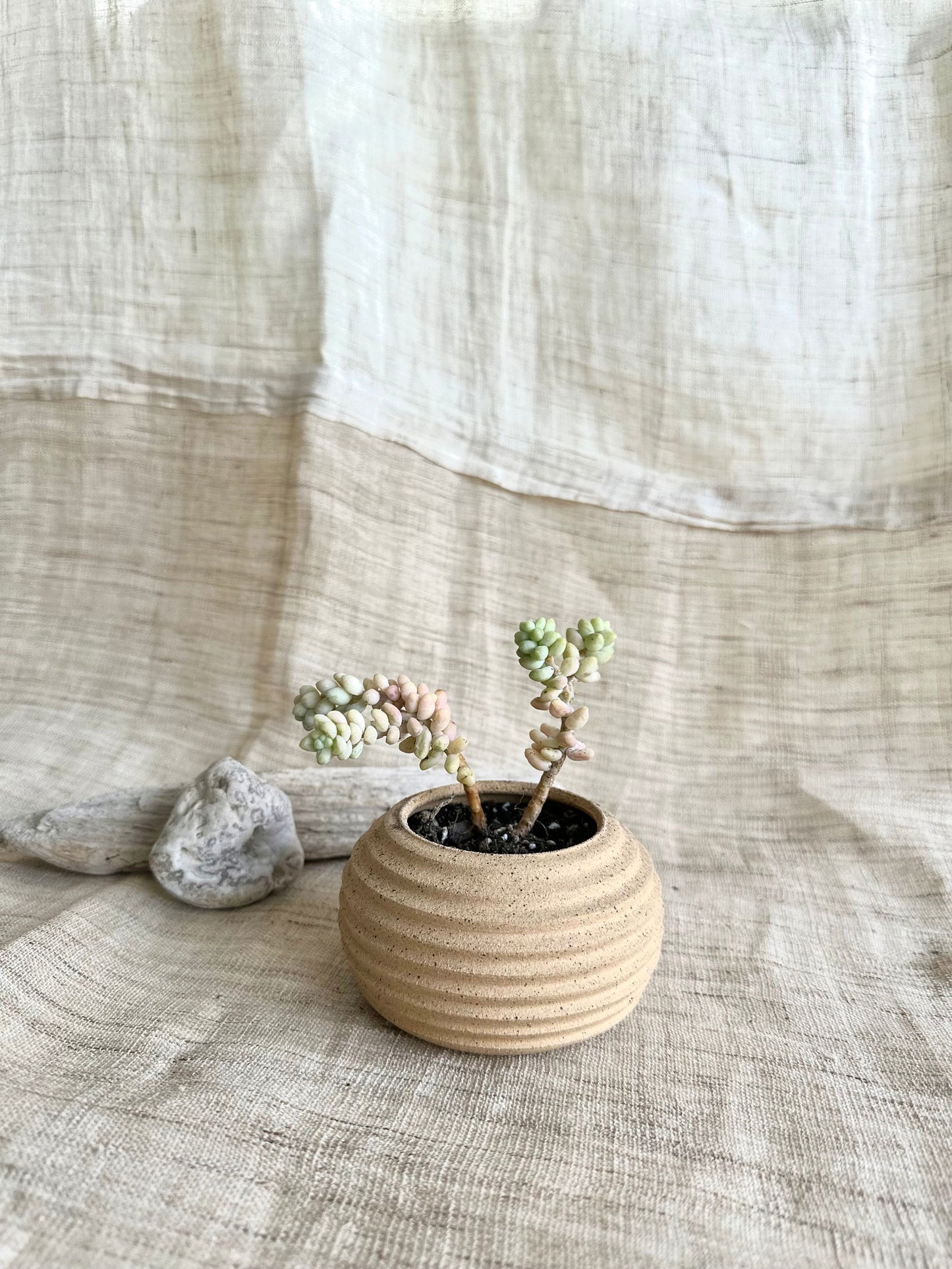 8 s.b mini planter - Mipa's pots and plants