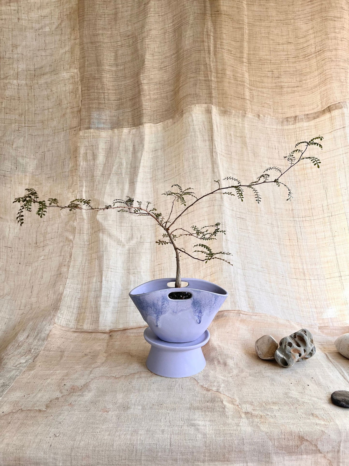 92 lavender purse planter set - Mipa's pots and plants