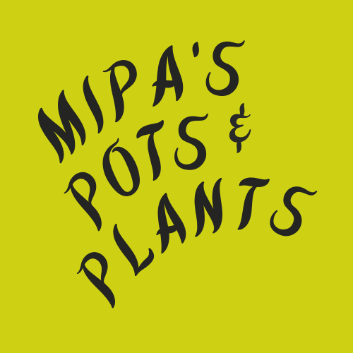Gift card - Mipa's pots and plants